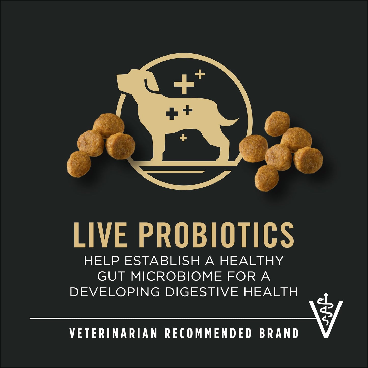 Purina Pro Plan High Protein Small Breed Puppy Food DHA Chicken & Rice Formula - 6 lb. Bag