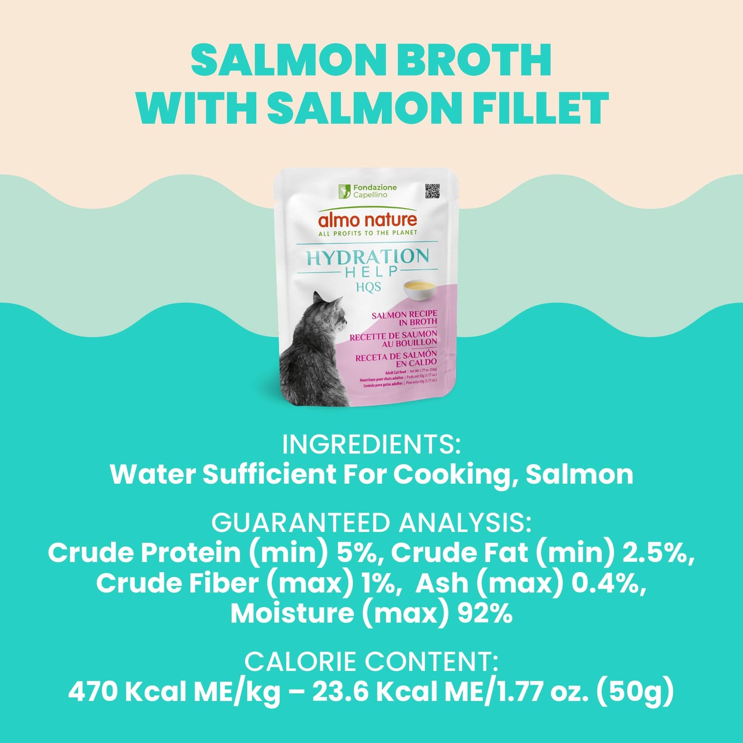 almo nature HQS Hydration Help - Wet Cat Food - Salmon Broth with Salmon Fillet, Flake and Broth - Wet Cat Food for Adult Cats - Additive Free, Grain Free - Pouches, 1.77oz (Pack of 12)