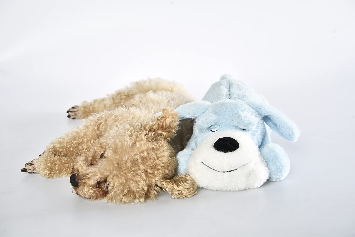 PetMedics 5-in-1 Calming Behavioral Stuffed Dog Toy: Heartbeat, Soothing Sounds, Heating Pads, Lavender Scent - Anxiety Relief, Crate Training - Ideal for Moderate & Soft Chewing Dogs & Puppies