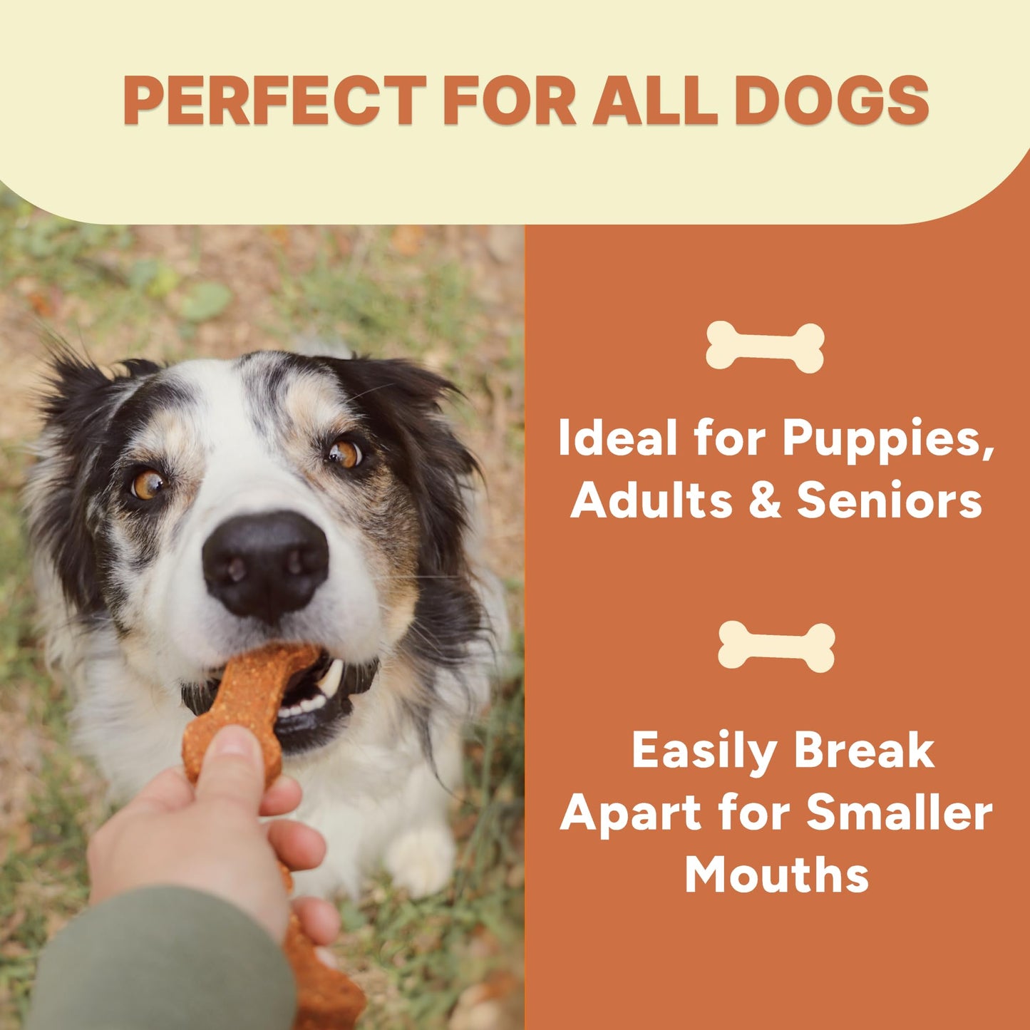 Gaines Family Farmstead Sweet Potato Fries for Dogs – 14 oz, Grain-Free, Single Ingredient Dog Treats, Crispy Rawhide-Free Chews, High-Fiber Snacks for Training, Made in USA