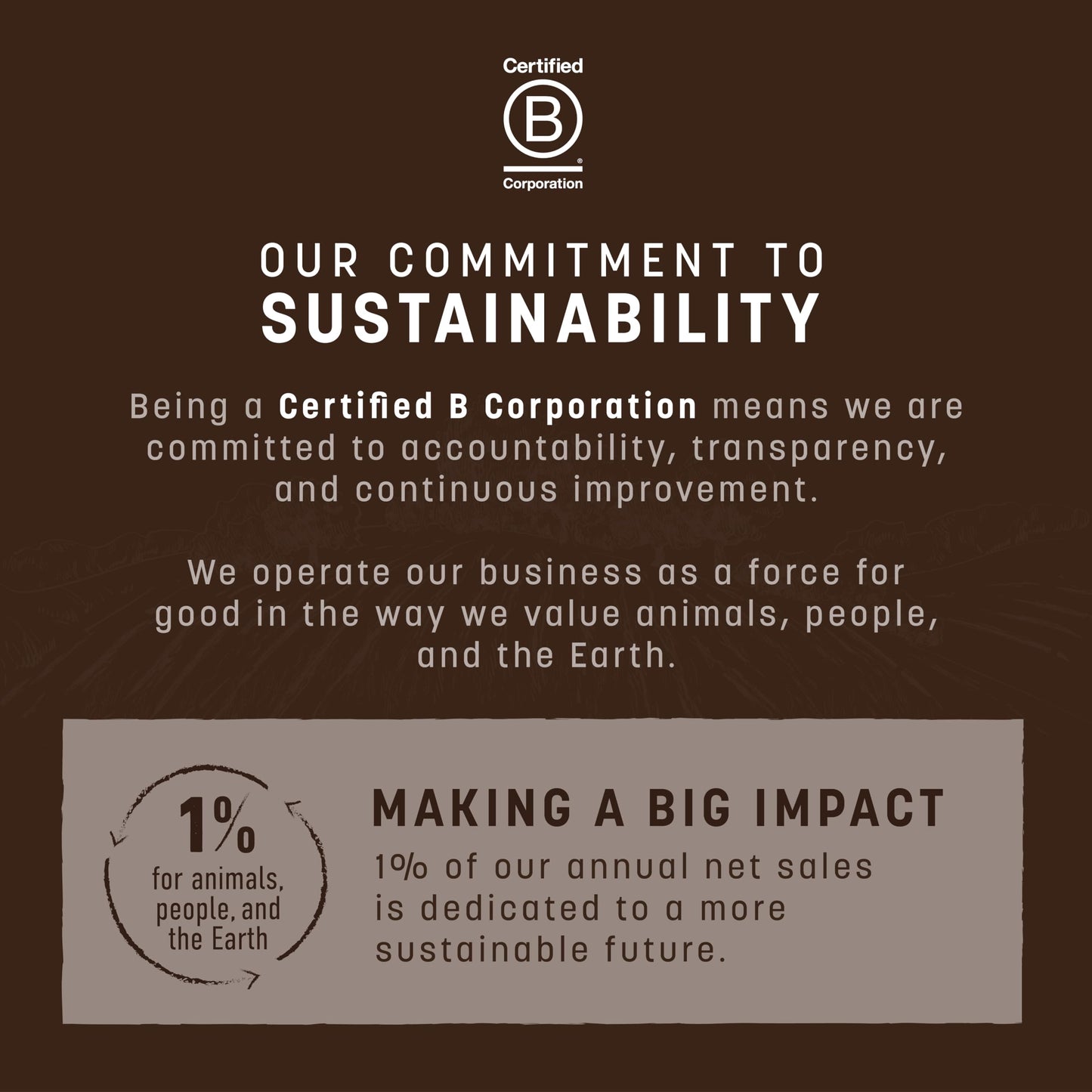 Earth Animal No Hide Large Chicken Flavored Natural Rawhide Free Dog Chews Long Lasting Chew Sticks | Treats for Large Dogs | Great for Aggressive Chewers - 2 Count