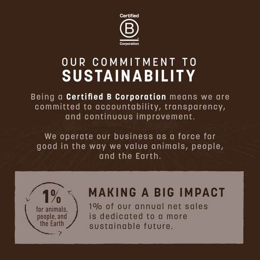 Earth Animal No Hide Large Chicken Flavored Natural Rawhide Free Dog Chews Long Lasting Chew Sticks | Treats for Large Dogs | Great for Aggressive Chewers - 2 Count