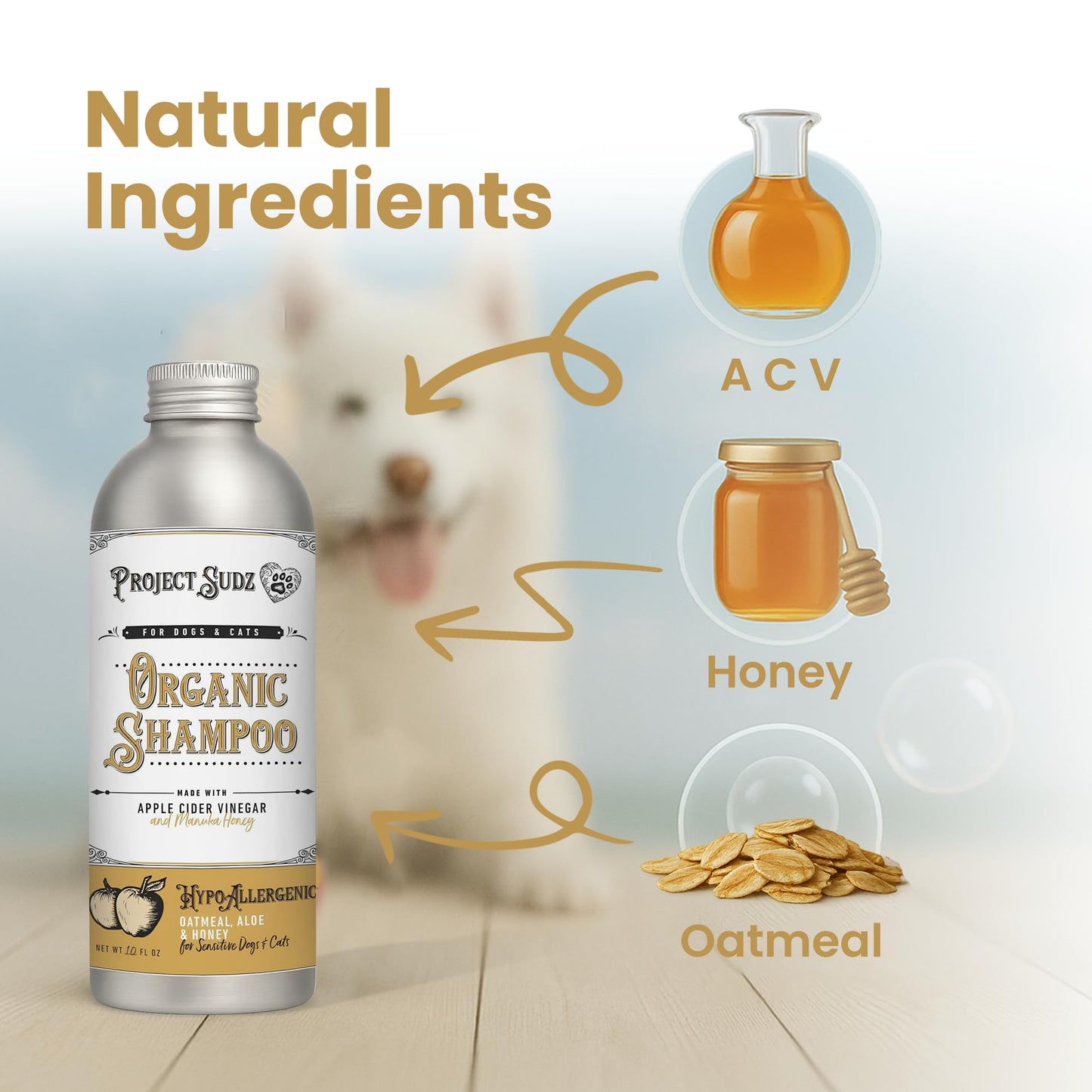 Project Sudz Hypoallergenic Dog Shampoo – Oatmeal & Honey | Extra Gentle, Unscented Pet Shampoo for Sensitive Skin | Safe for Puppies, Eco-Friendly & Made in USA