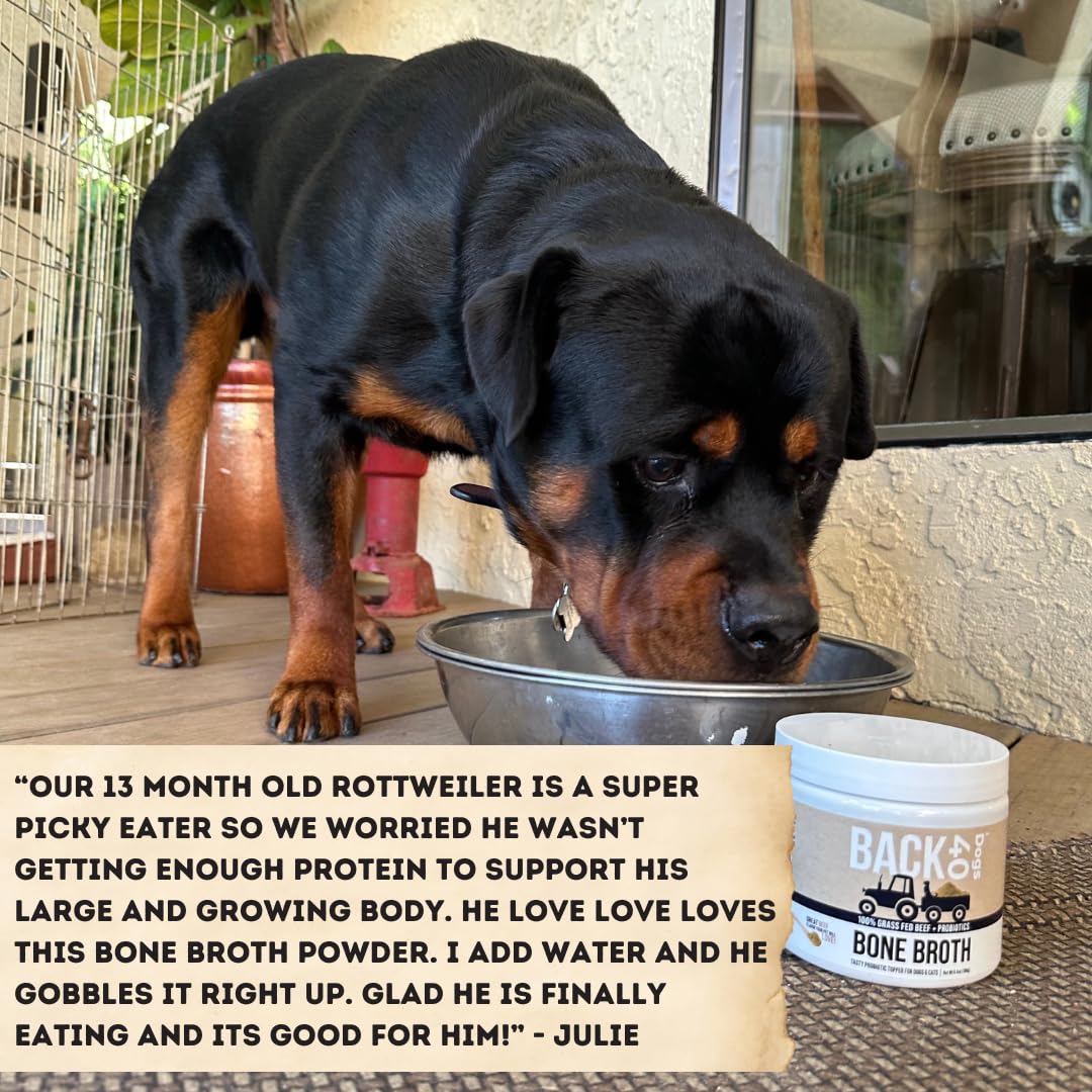 Pedigree Complete Nutrition Adult Dry Dog Food Roasted Chicken, Rice & Vegetable Flavor Dog Kibble, 3.5 lb. Bag (Pack of 4)