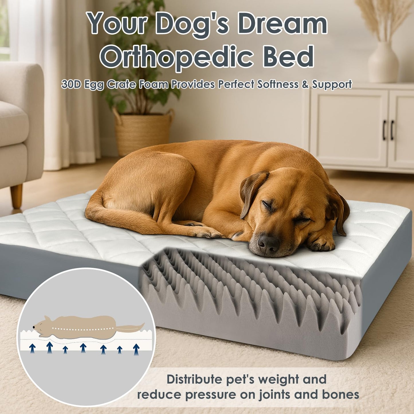 35.5" x 23.5" x 4.7" Large Orthopedic Dog Beds, Water-Resistant Faux Leather Memory Foam Dog Bed, Egg Crate Foam Support & Non-Slip Bottom Pet Beds for Medium Dogs and Large Dogs, Easy to Clean
