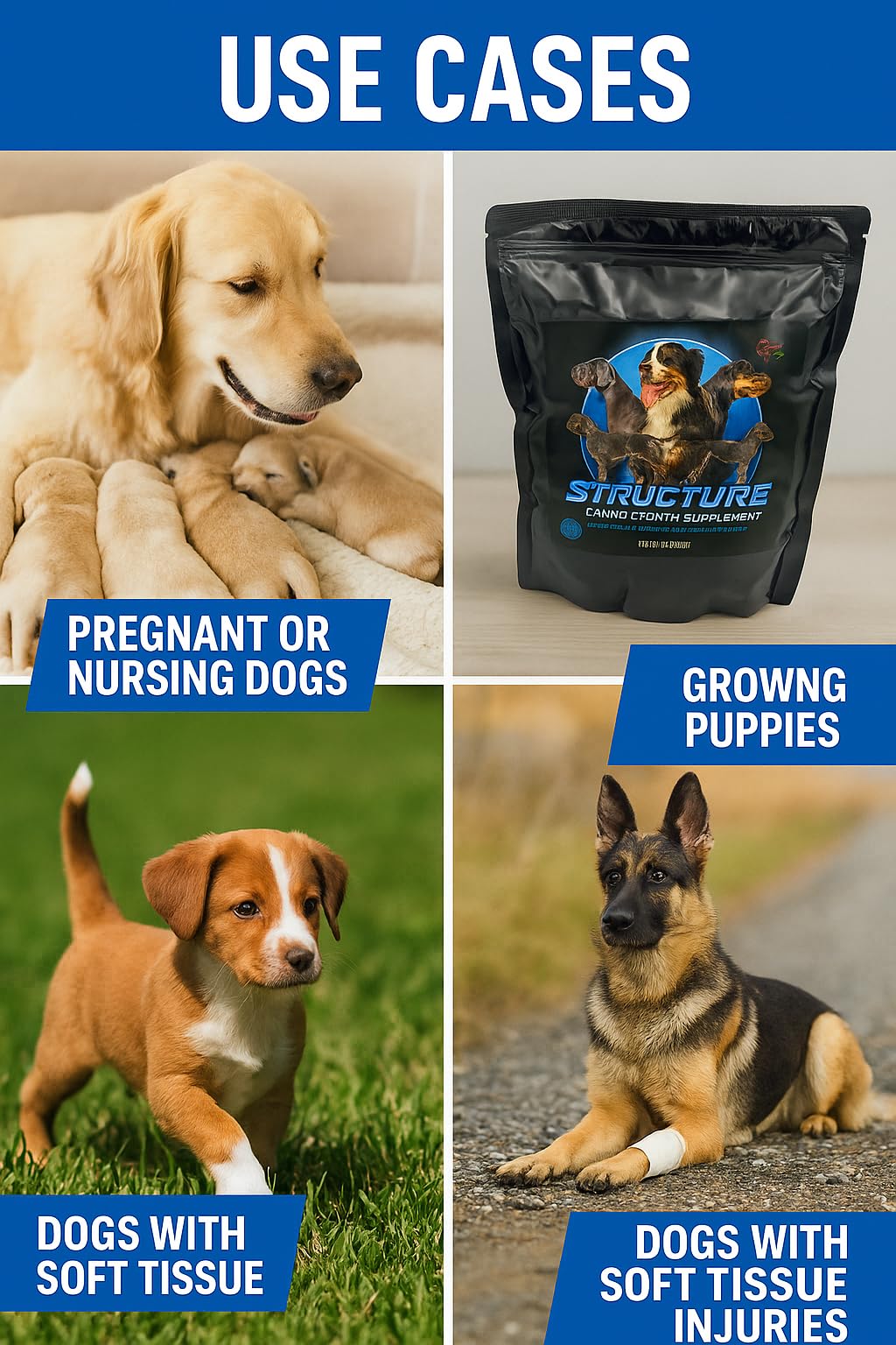 Structure by CPN – Puppy Growth Supplement – Supports Muscle, Bone & Immune Health – Human Grade Protein from Egg & Milk – with Probiotics, Enzymes & Omegas – for Puppies, Pregnant & Nursing Dogs