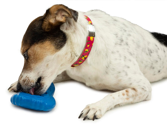 PETFUTURE Dog Enrichment Toy, Squeaky and Crinkle Mental Stimulation Puzzle Toy, Machine Washable Treat Hiding Game for Anxiety Relief & Interactive Play