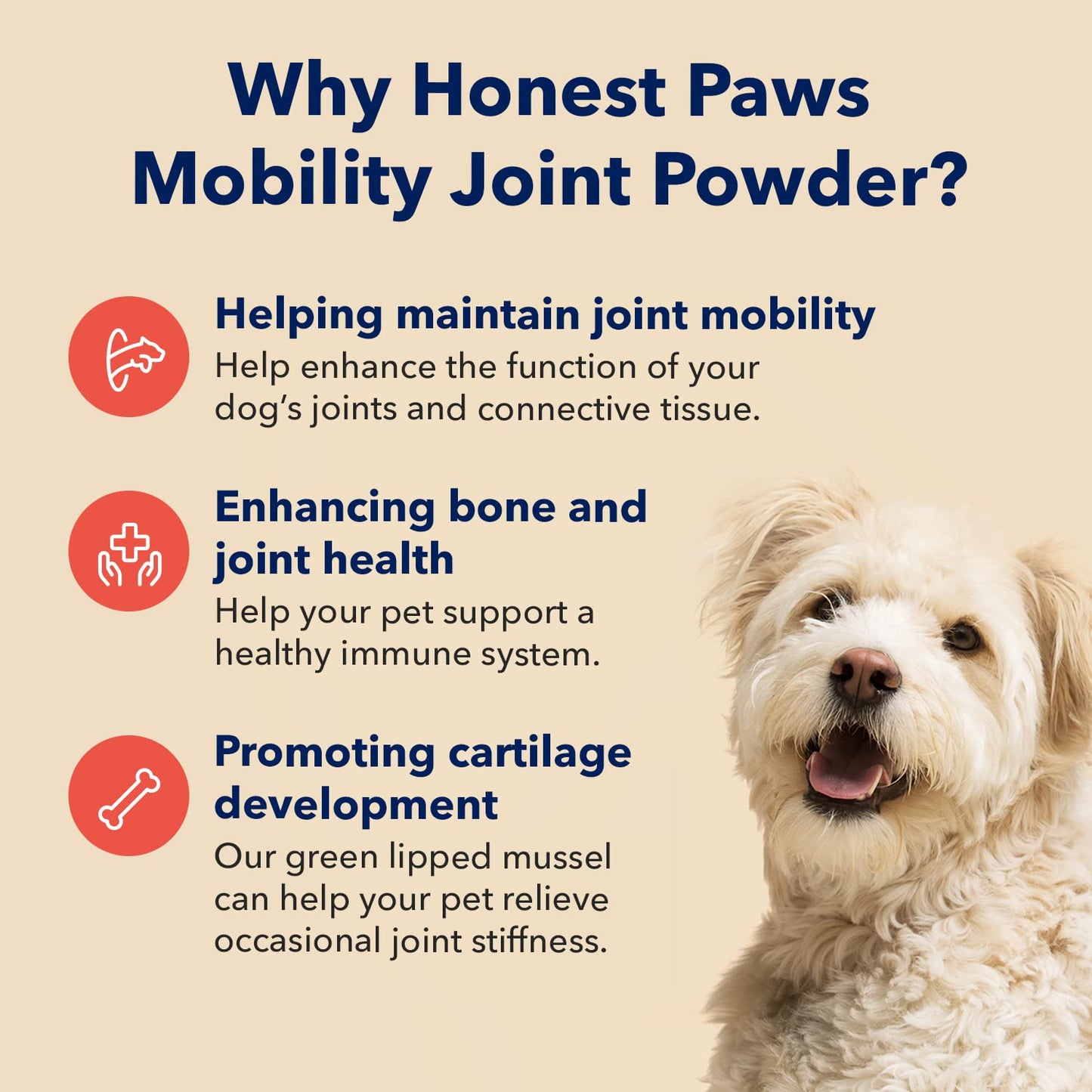 Honest Paws 5-in-1 Oatmeal Dog Shampoo and Conditioner + Mobility Supplement Discounted Bundle Happy Pet Suppliers