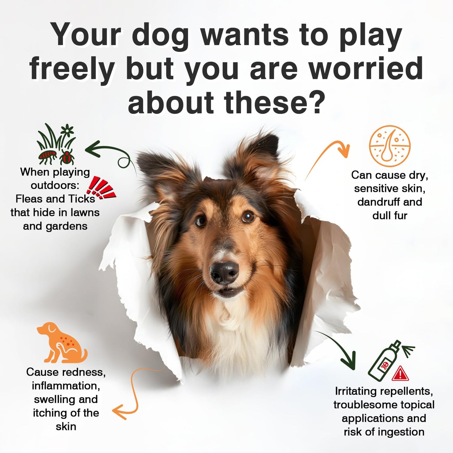 Dog Flea and Tick Prevention Allergy Chews Omega 3 for Dogs Treatment Chewable Natural Flea and Tick Skin and Coat Supplement Immune Dog Chews Yeast Relief Prevention for Dogs Itching and Licking