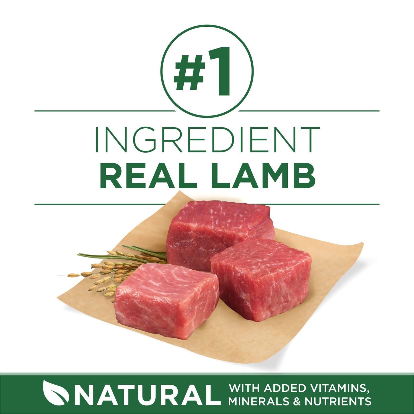 Purina ONE Plus Small Breed Lamb and Rice Formula Dry Dog Food - 7.4 lb. Bag