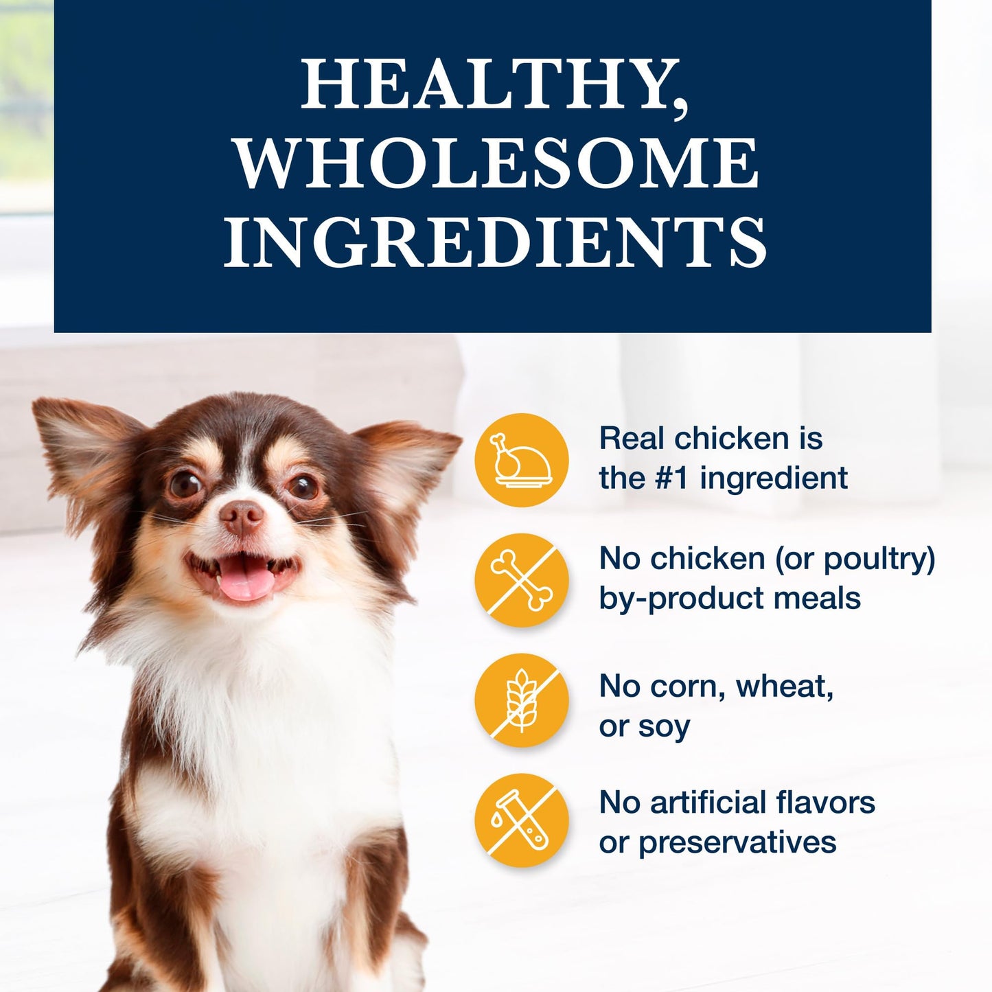 Blue Buffalo Natural Veterinary Diet KS Kidney Support Dry Dog Food, Veterinarian Prescription Required, Chicken, 6-lb Bag