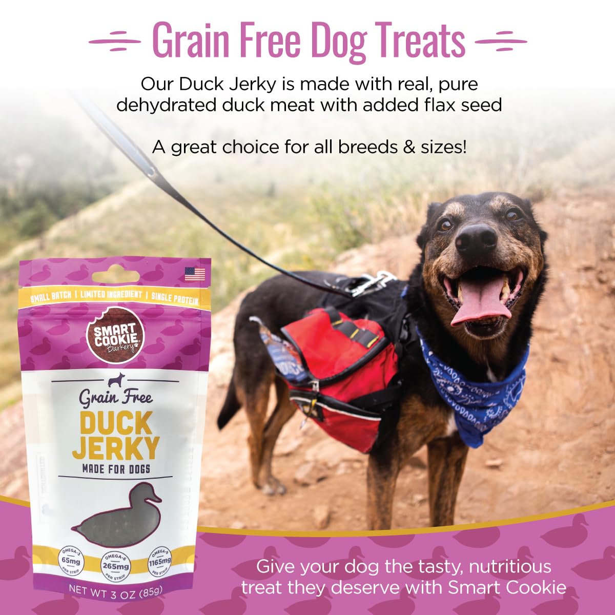 Smart Cookie Duck Jerky Dog Treats with Flax Seed, Omega Oils- Hypoallergenic Strips for Dogs and Puppies with Allergies, Sensitive Stomachs - Dehydrated, Grain Free, Made in USA - 3oz Bag, Pack of 3
