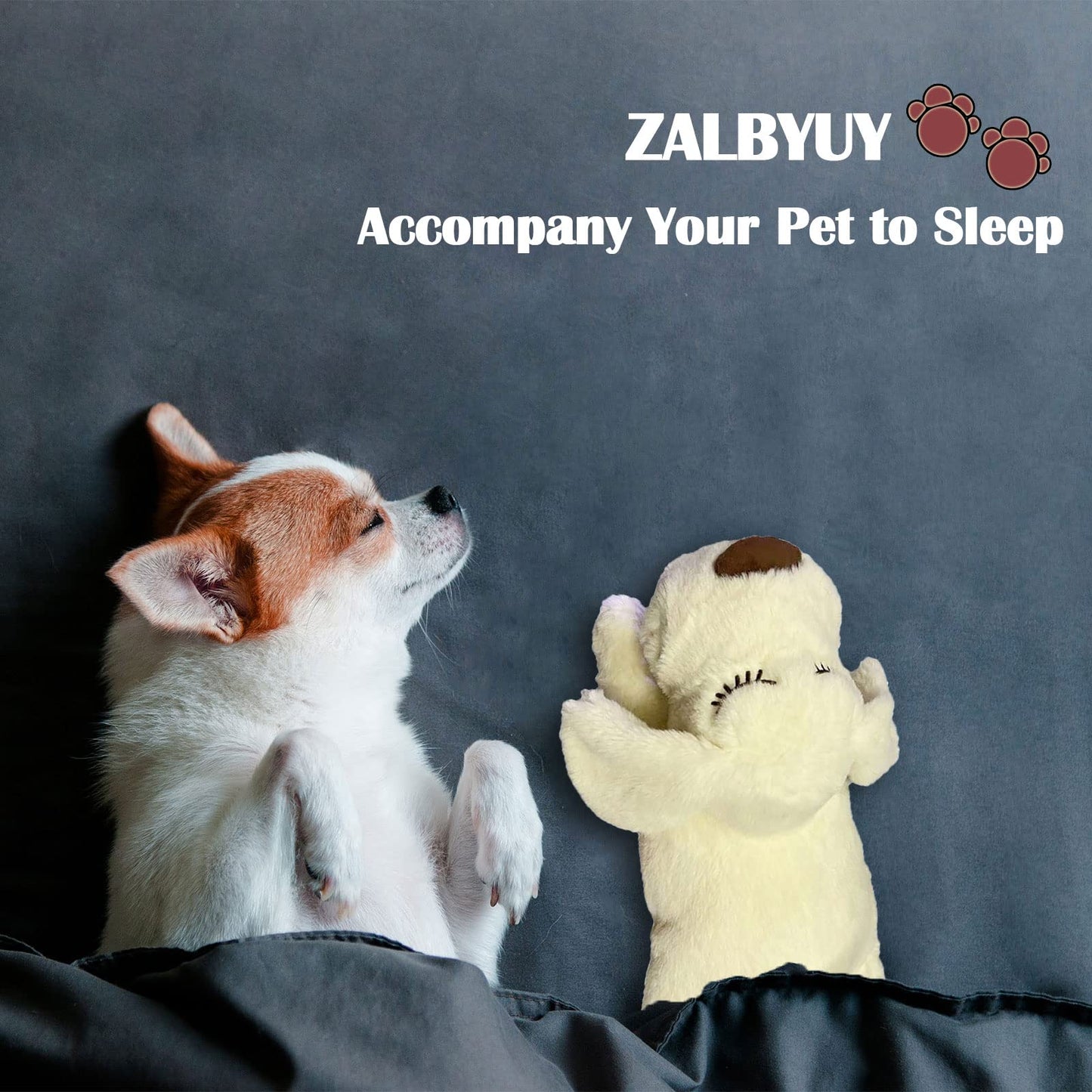 ZALBYUY Heartbeat Puppy Toy, Puppy Sleep Aid Toy, Small Dog Training Toys for Separation Anxiety Relief, Pets Plush Toys for Dogs Cats (White)