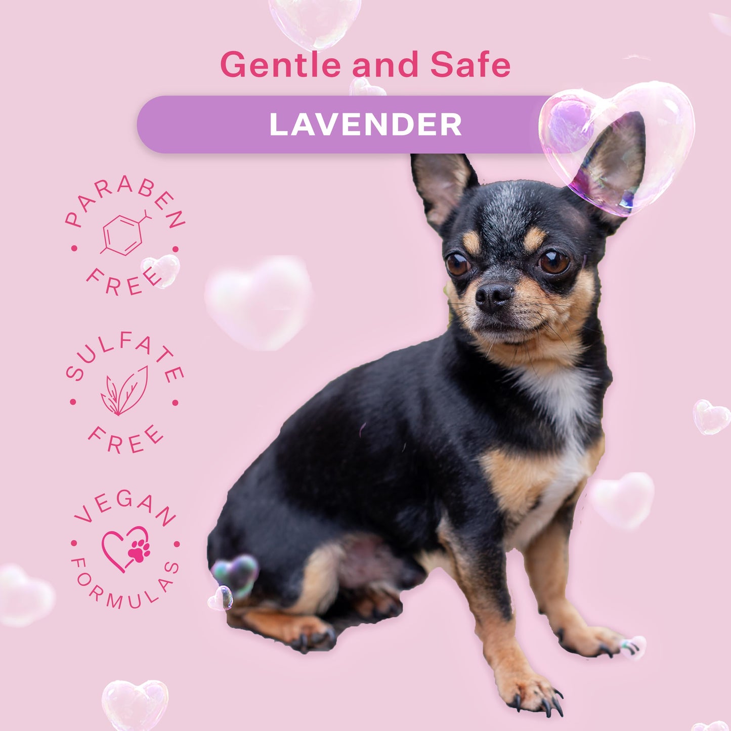 Paris Hilton Pet Iconic Lavender Scent No-Rinse Dog Shampoo, Waterless Dog Wash, Hypoallergenic, 280ml – Quick Clean for Dogs, Easy Grooming, No Rinse Needed