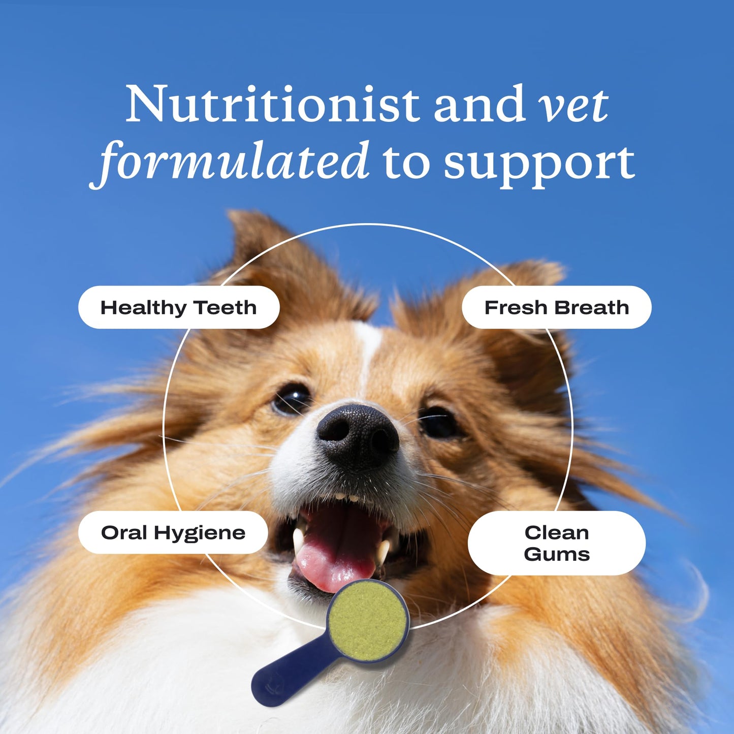 PetLab Co. ProBright Dental Powder - Dog Breath Freshener - Teeth Cleaning Made Easy – Targets Tartar & Bad Breath - Formulated for Large Dogs - Packaging May Vary