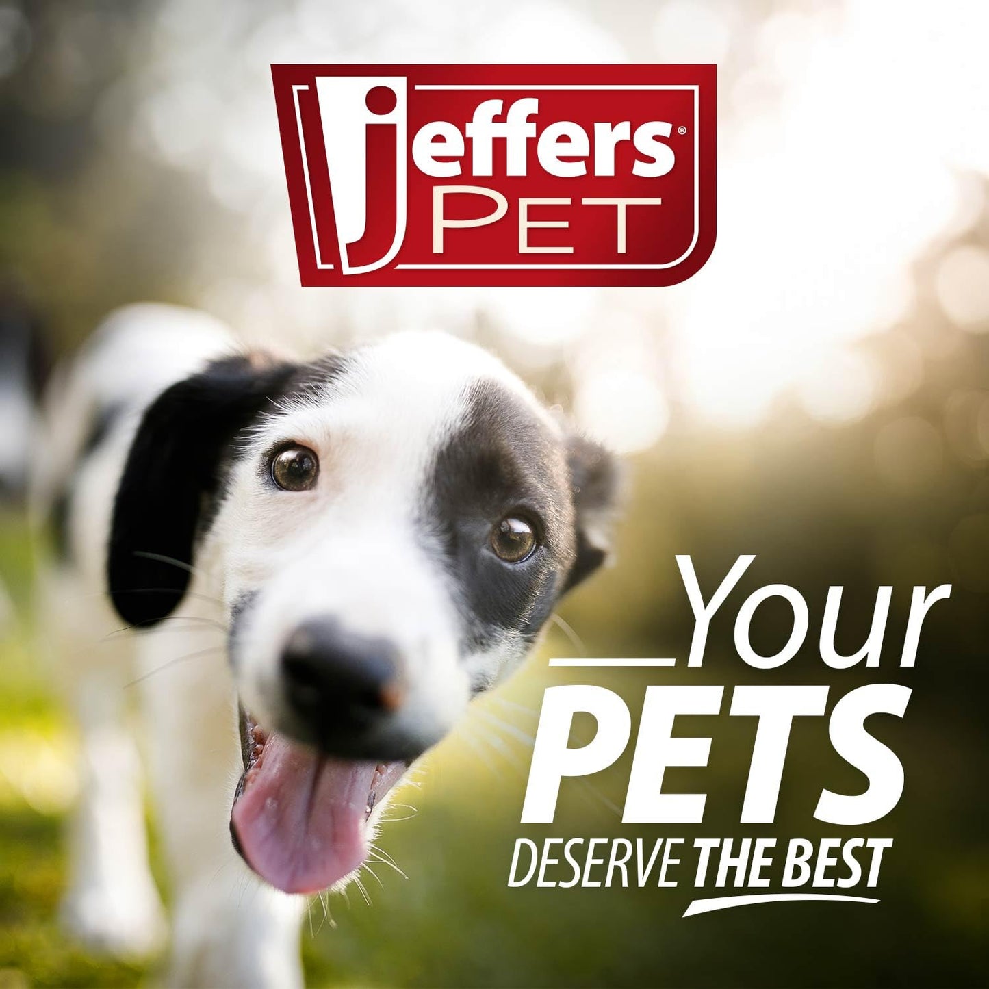 Jeffers Pet Nature's Best Cedar Shampoo for Dogs & Cats – Natural Detergent & Soap Free Formula with Cedarwood Oil, Eucalyptus & Aloe – Moisturizing, Deodorizing, Fresh Coat – 17 oz