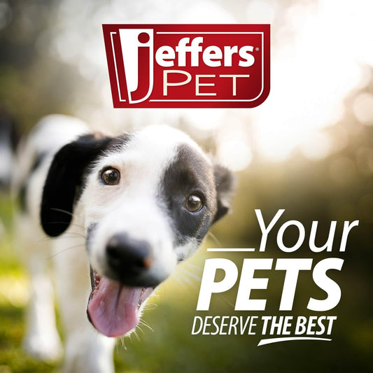 Jeffers Pet Nature's Best Cedar Shampoo for Dogs & Cats – Natural Detergent & Soap Free Formula with Cedarwood Oil, Eucalyptus & Aloe – Moisturizing, Deodorizing, Fresh Coat – 17 oz