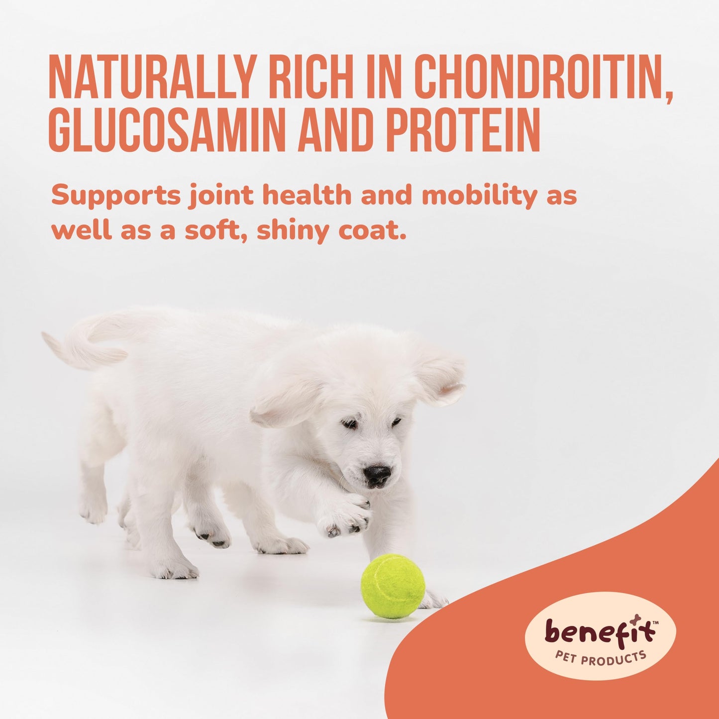 Benefit Pet Products Collagen for Dogs - Single Ingredient Dog Treat, Rawhide Free, Collagen for Dogs, Long Lasting Dog Chews (6 inch, 5 ct)