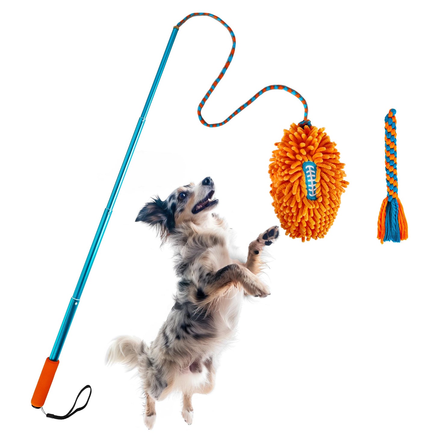 ALL FOR PAWS Interactive Flirt Pole Toy for Dogs Training & Exercise – Durable Teaser Wand with Luring Rope, Tug of War Chase Toy for Small to Medium Dogs