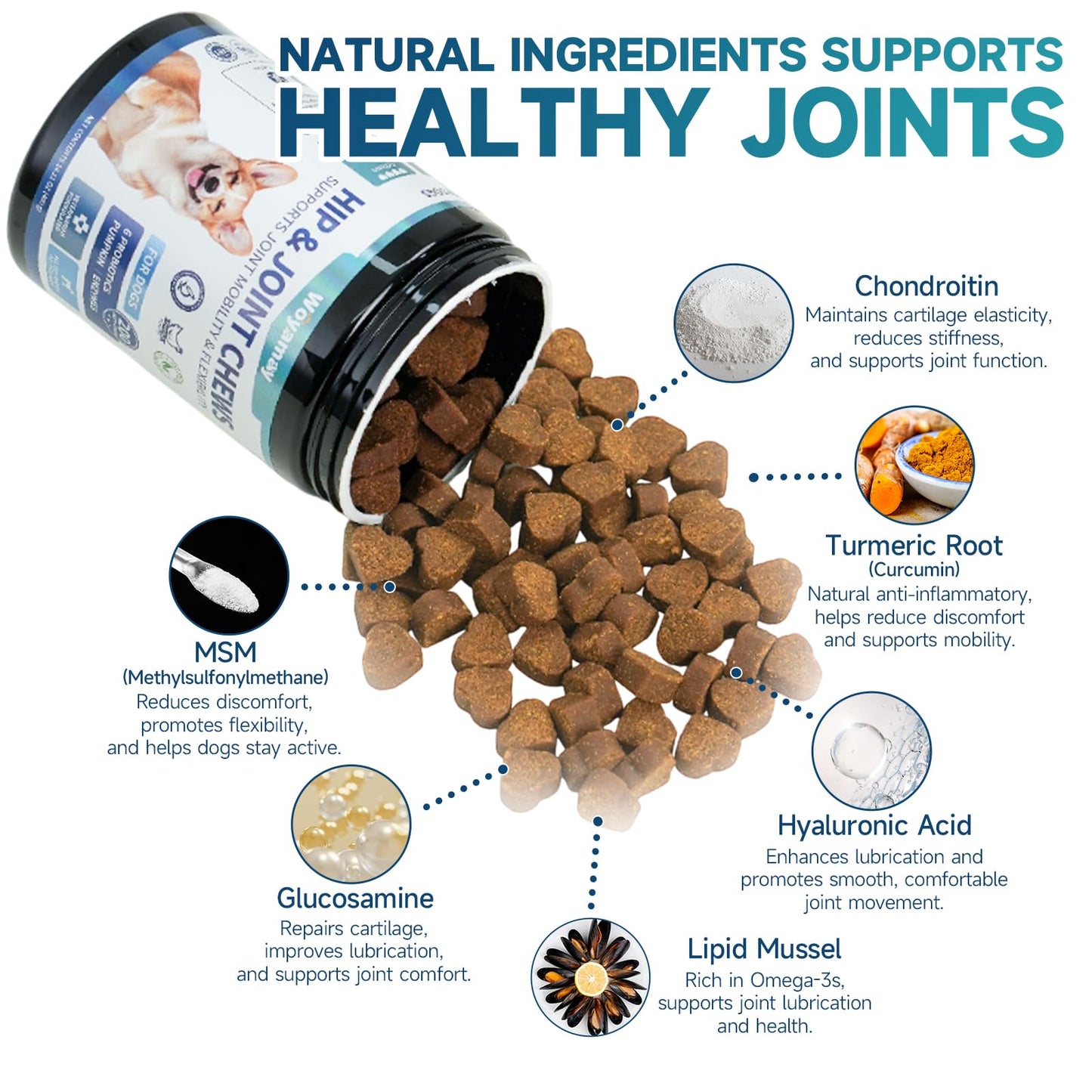 Hip and Joint Supplement for Dogs, Glucosamine for Dog Joint Supplement, 200 Soft Chews with Glucosamine, Chondroitin and MSM Dog Hip and Joint Supplement for All Ages and Breeds, Chicken Flavor