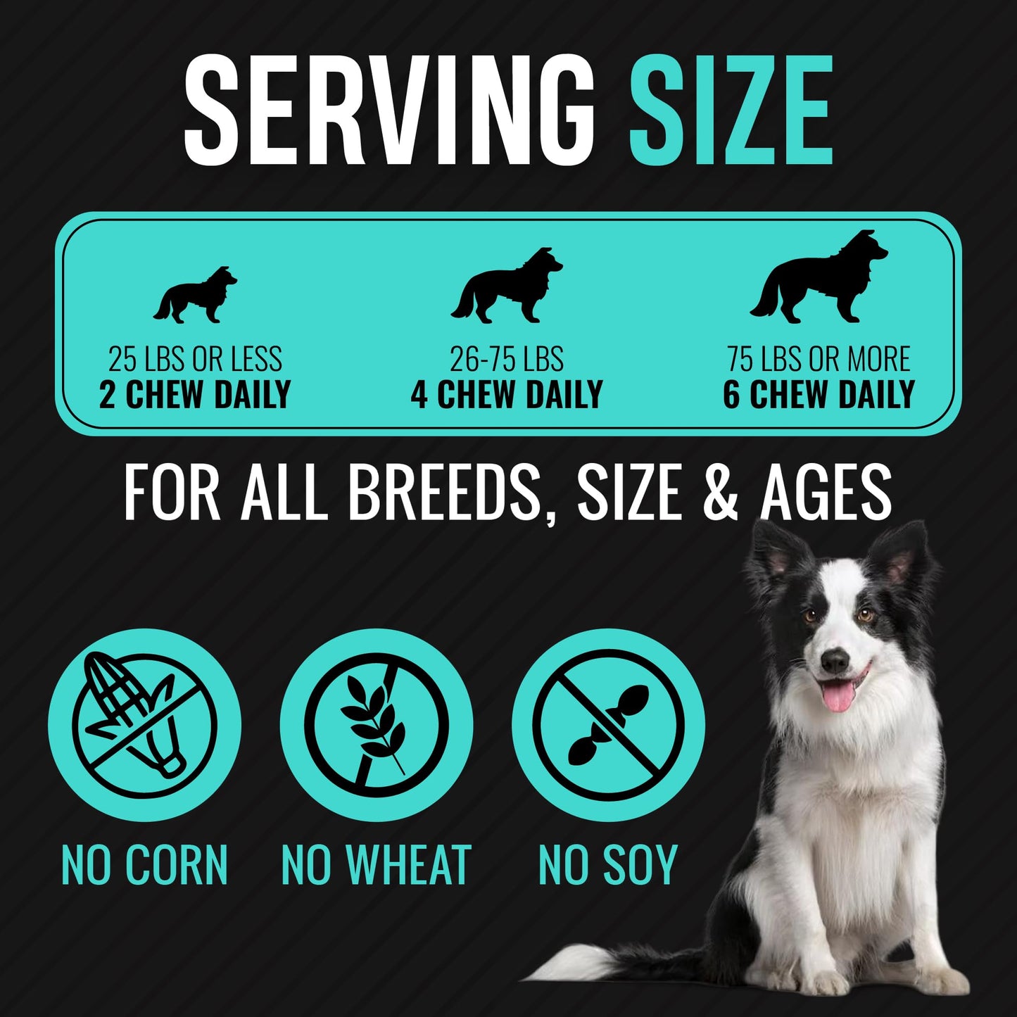 Hemp Calming Chews for Dogs with Anxiety and Stress - Dog Calming Treats - Dog Anxiety Relief - Storms, Barking, Separation - Valerian - Hemp Oil - Calming Treats for Dog