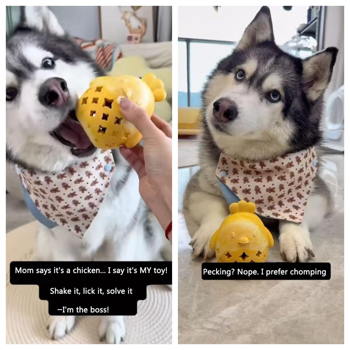 MewaJump Stuffed Dog Toy Treat Dispenser Dog Toy Puzzle Rubber Chew Toys Treat Food Dispensing Toys for Teeth Cleaning Ball Interactive Enrichment Toys for Puppy, Small, Medium, Large Breeds