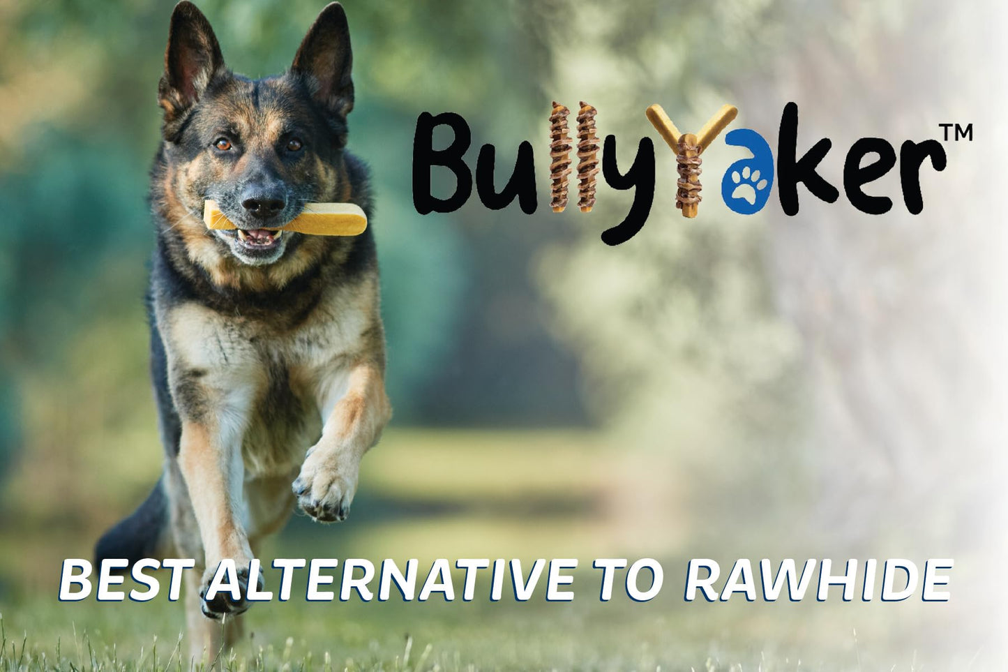 BULLYYAKER Cheese Chews: Himalayan Yak Cheese Dog Chews- Natural, Healthy & Long Lasting Dog Treats - Grain, Gluten & Lactose-Free Rawhide Alternatives, Small 3 Pack, 6 Oz