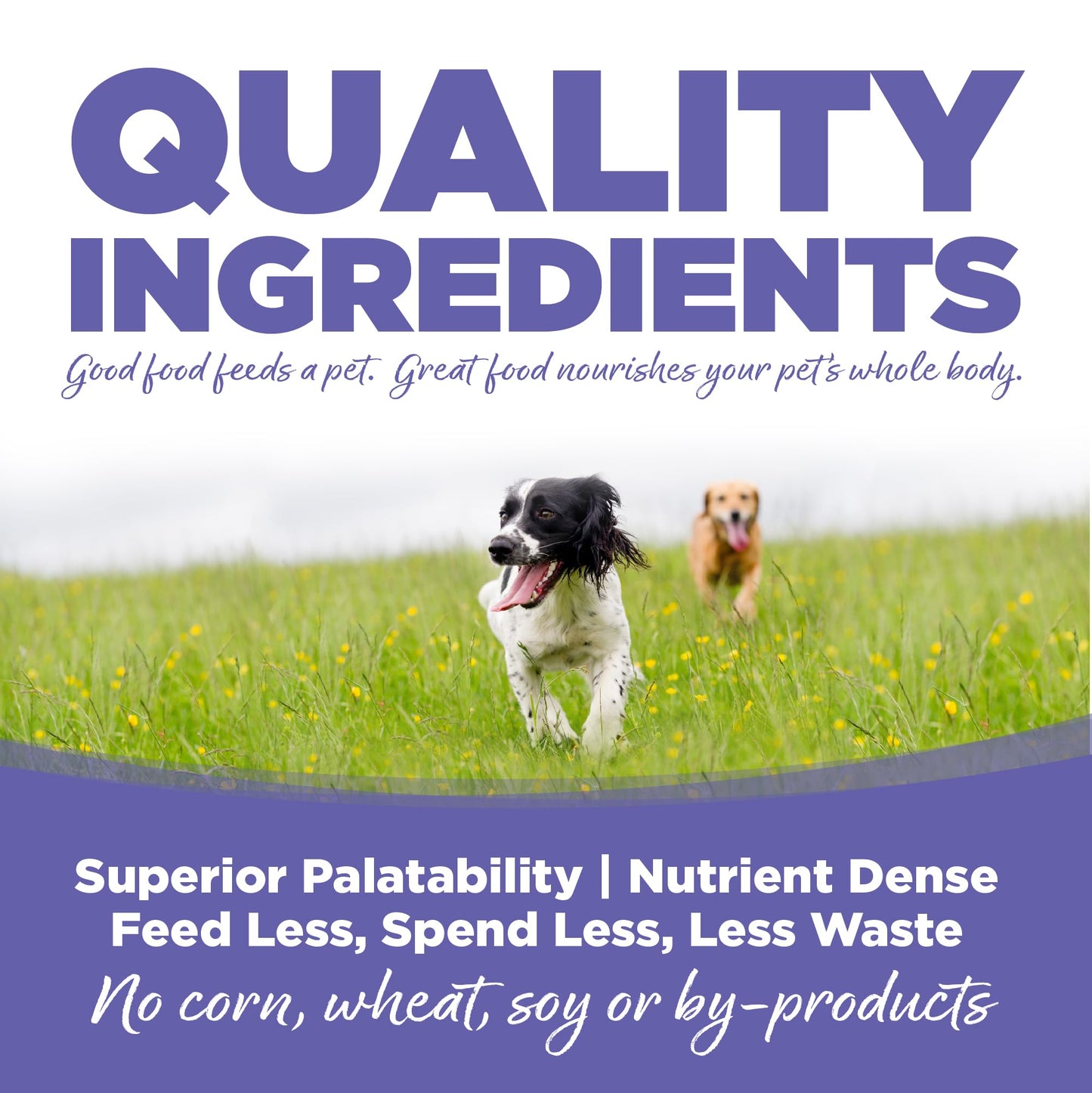 NutriSource Puppy Food for Small and Medium Breeds, Chicken Meal and Rice, 4LB