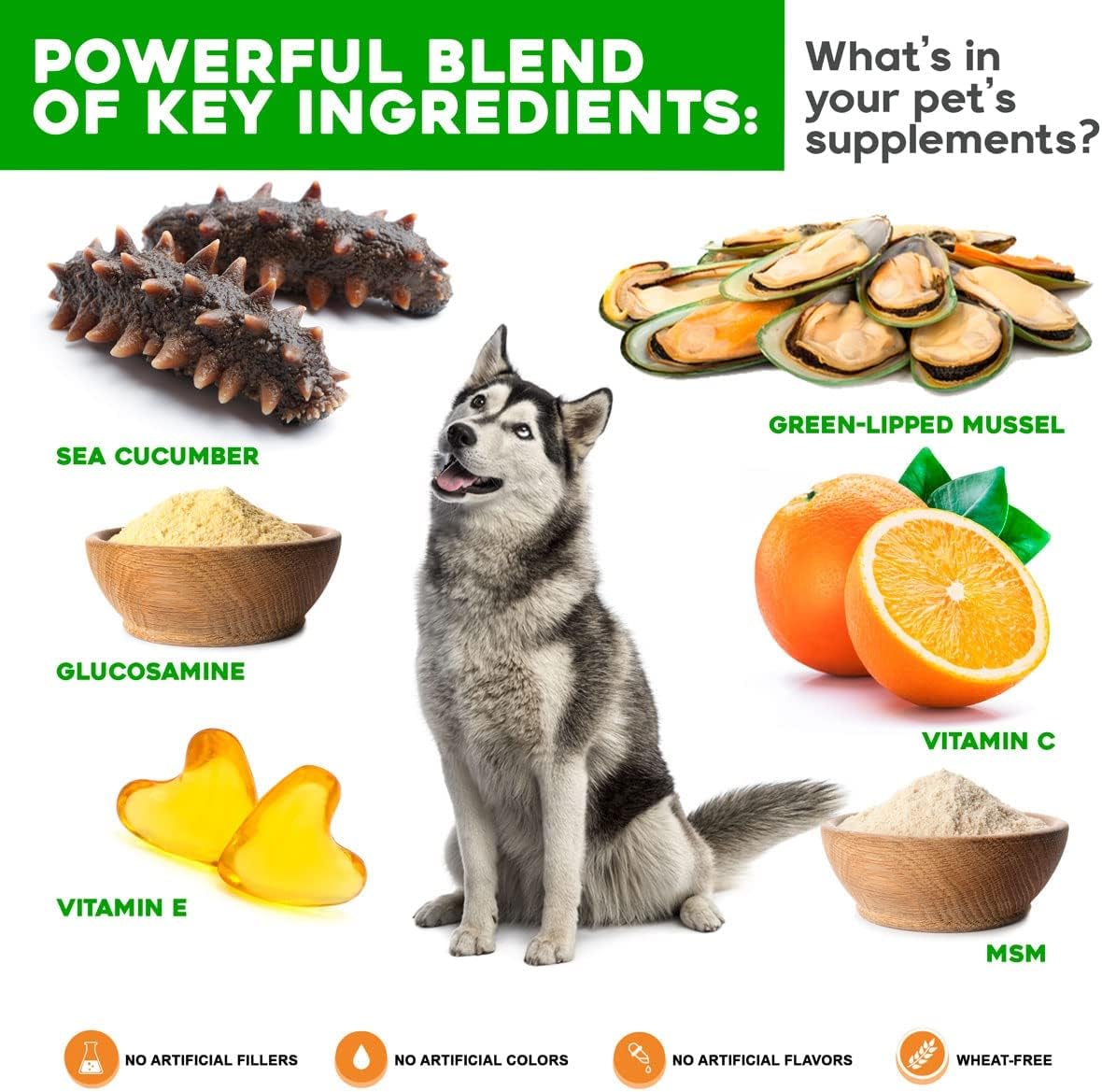 Joint Supplement for Dogs - Green Lipped Mussel, MSM + Glucosamine Formula - Helps to Restore Mobility, Relieve Arthritis & Hip Dysplasia Pain, Reduce Inflammation, No Artificial Flavors