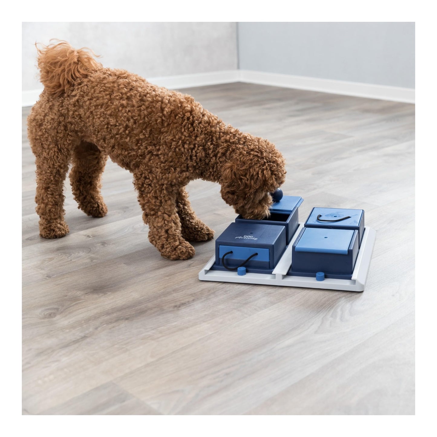 TRIXIE Poker Box 1 Dog Enrichment Toy, Intermediate Level 2 Dog Puzzle, Interactive Treat Game