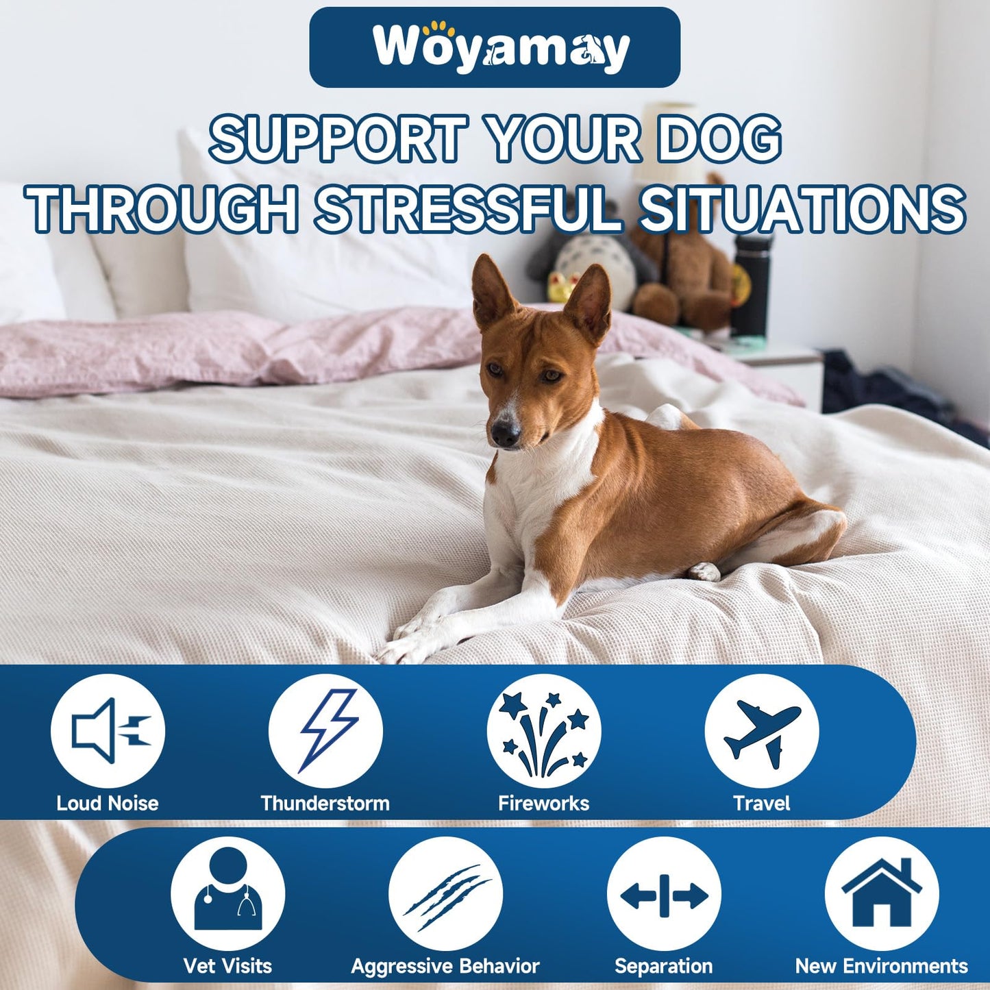 Downtown Pet Supply Yak Cheese Himalayan Dog Chews - Regular Yak Chews Rich in Nutrients for Small to Medium Dogs - Long Lasting, Odorless and Easy to Digest Cheese Dog Treats - 0.5 LB