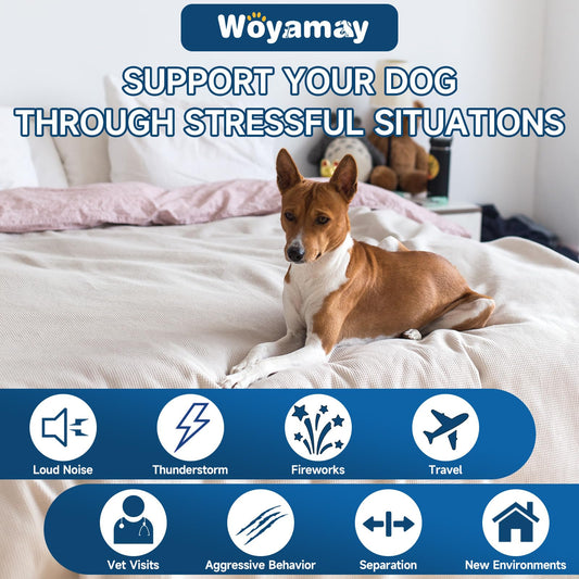 Downtown Pet Supply Yak Cheese Himalayan Dog Chews - Regular Yak Chews Rich in Nutrients for Small to Medium Dogs - Long Lasting, Odorless and Easy to Digest Cheese Dog Treats - 0.5 LB