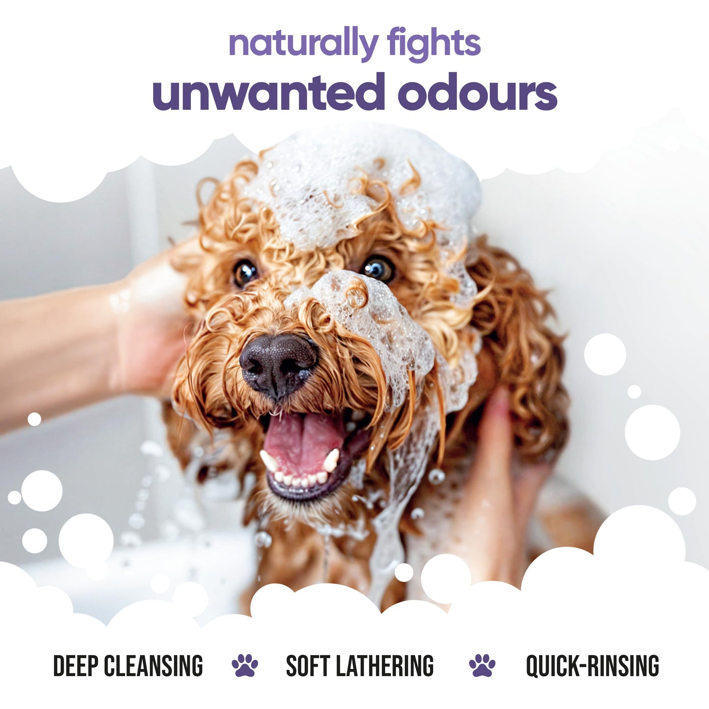 Calming & Deodorising Dog Shampoo by Buddycare | Lavender Scented | Itchy Skin Relief for Smelly Dogs | Deep Cleansing Shampoo for Dogs Puppy Sensitive Skin | with Aloe & Vitamin B5 (16.90oz)
