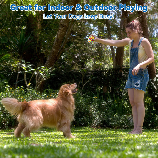 loncoldy Indestructible Dog Balls - 2 Pack Dog Toys for Aggressive Chewers, Large & Medium Breed, Interactive Fetch Ball Toy for Dogs