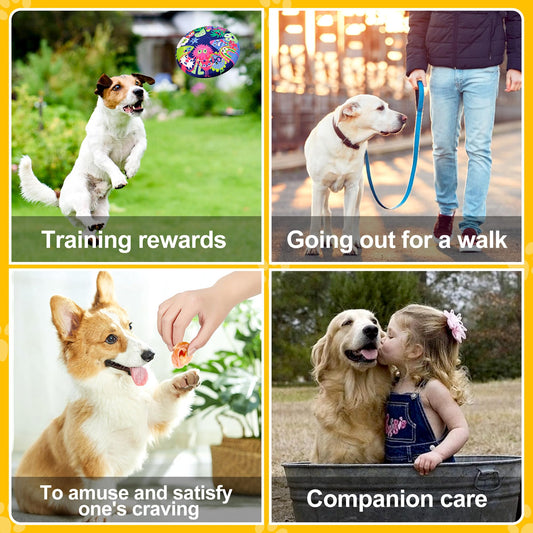 Chienmily Sweet Potato Dog Treats Soft, Natural Human Grade Puppy Chew, Low Fat Grain Free Treats, Gluten Free for Small Medium & Large Dogs, 11.6oz