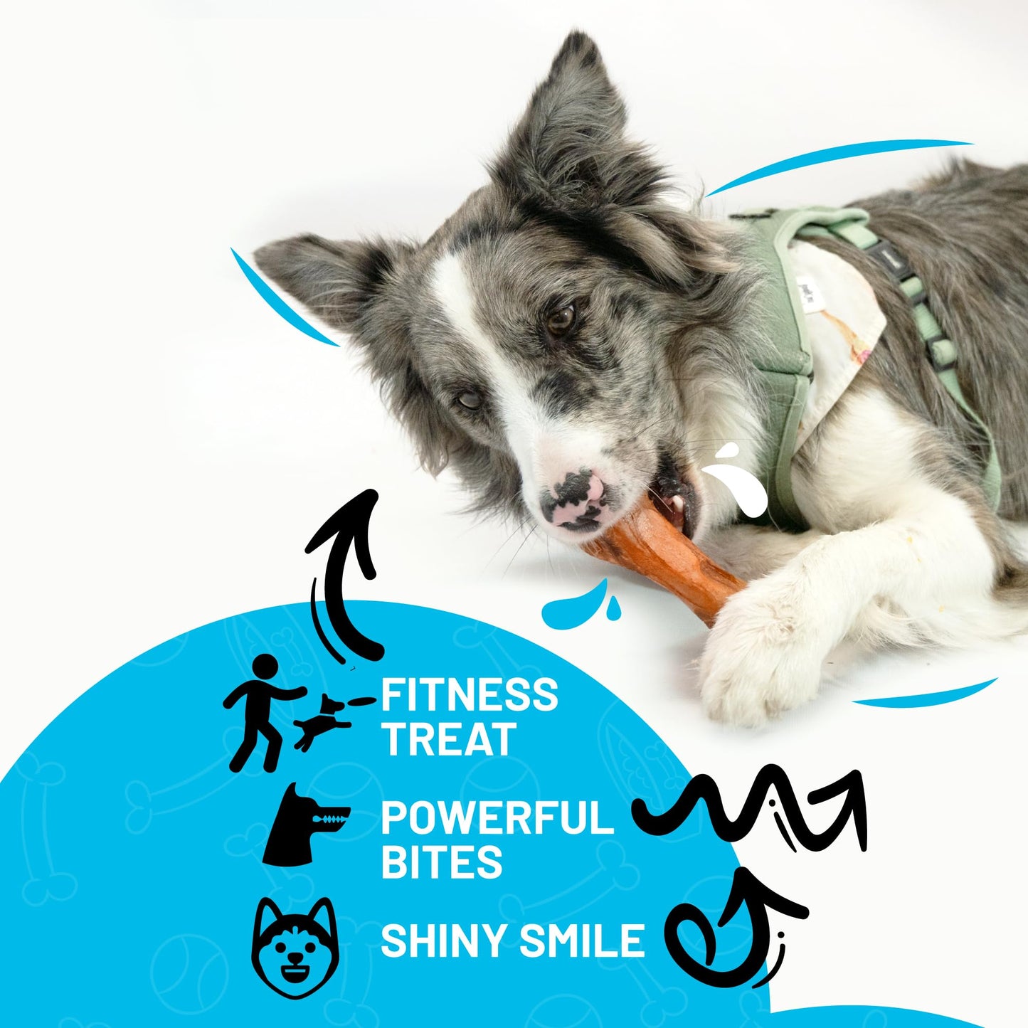 Sitka Farms Pork Femur Premium Dog Bones - 10 Count - Real Smoked Meaty Bones for Medium and Large Dogs - Alternative to Bully Sticks - Teeth Cleaner for Aggressive Chewers