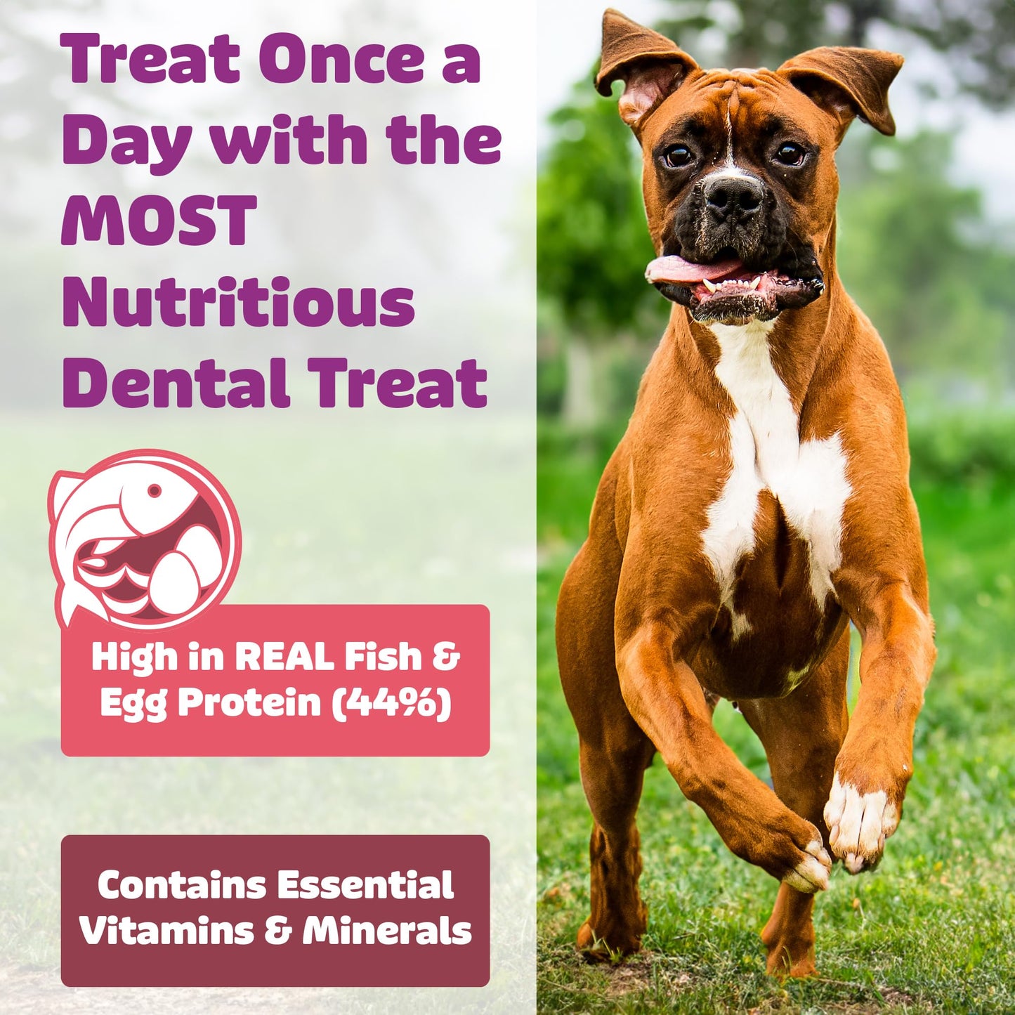 Yummy Combs Dog Dental Treats – Fish & Egg Protein – Vet VOHC Approved, Removes Tartar – A Daily Teeth Cleaning Treat for Large Dogs (15 Count)