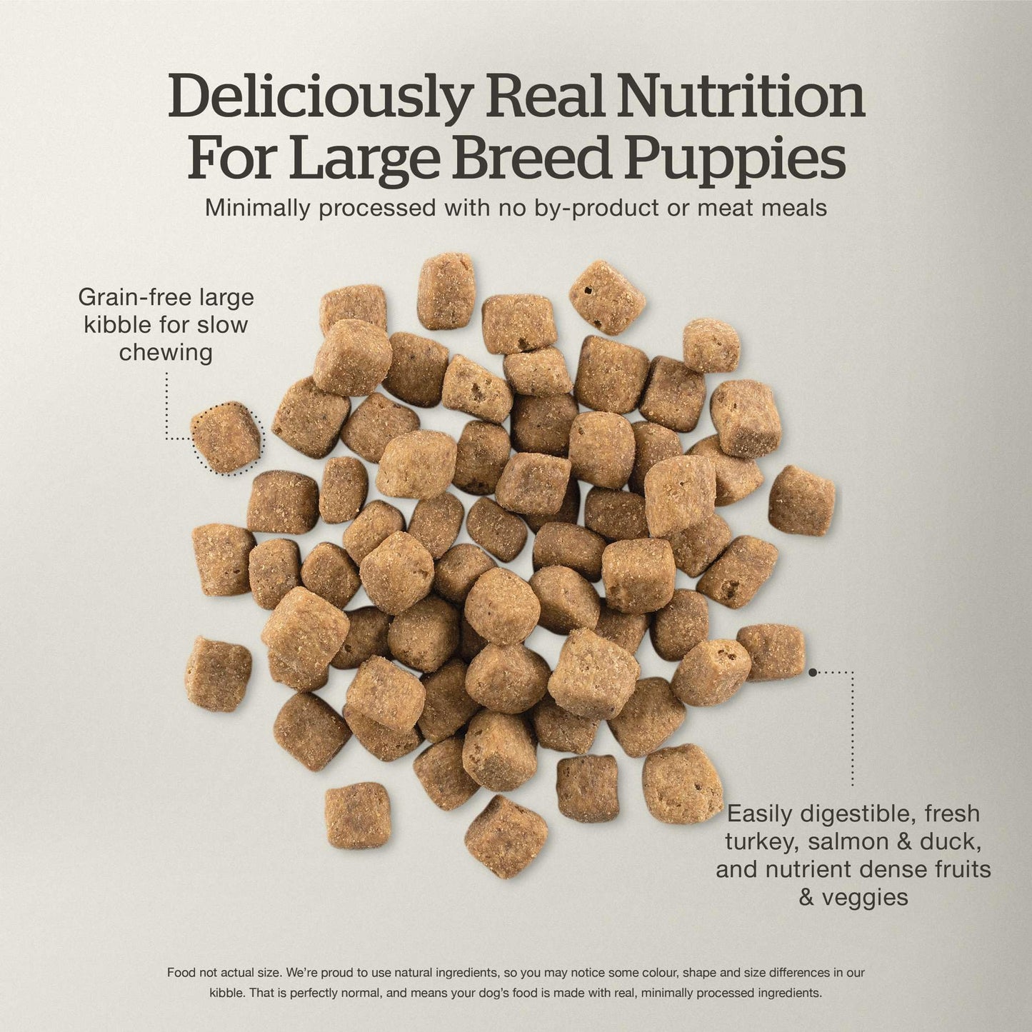Now Fresh Grain-Free Large Breed Dry Puppy Food with Turkey, Salmon & Duck, Healthy Kibble for Growing Dogs with Real Meat & Fish, Chicken-Free, Pumpkin & Probiotics for Good Digestion, 25 lb Bag