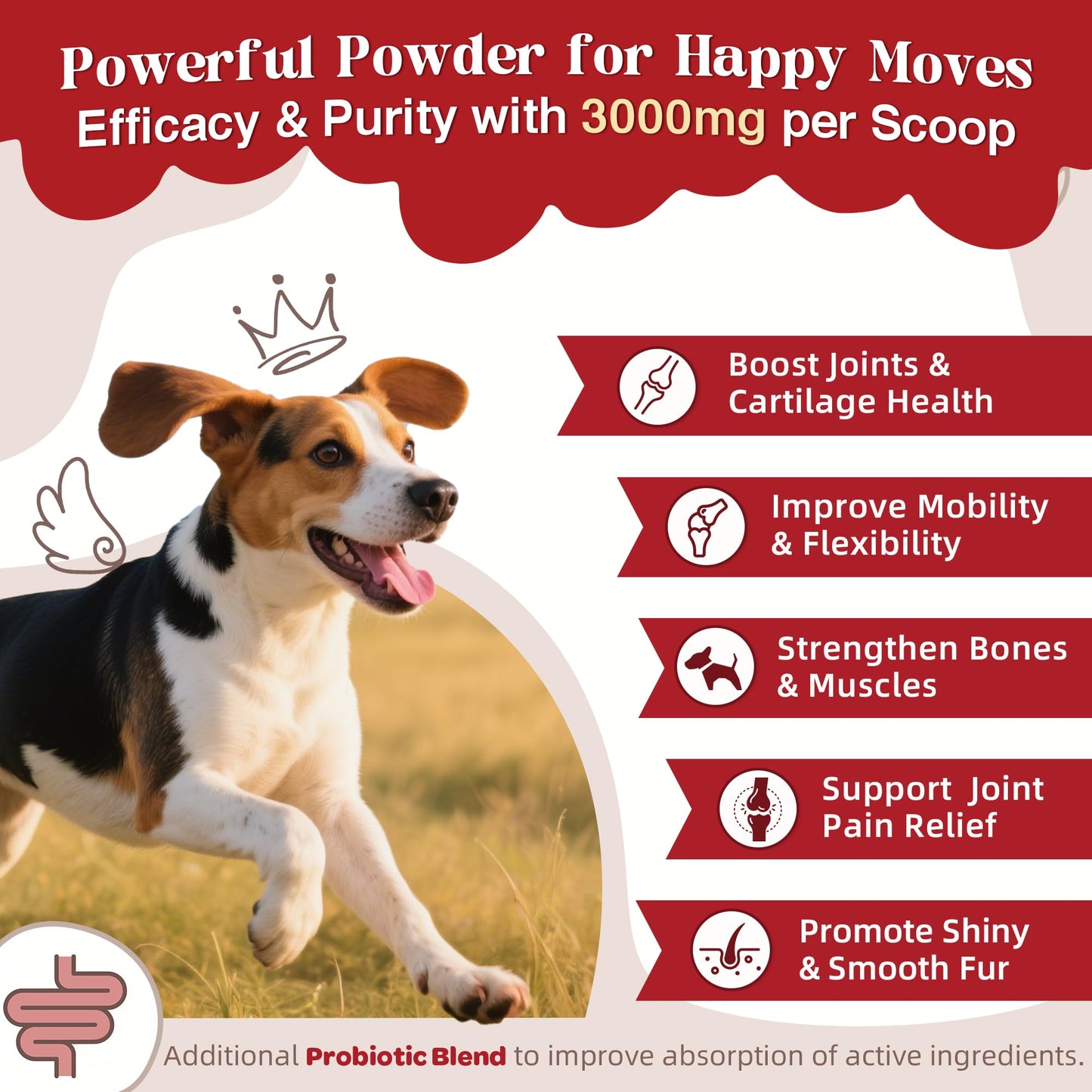 ZEBORA Glucosamine for Dogs - Joint Supplement for Dogs - Glucosamine Chondroitin, MSM, Omega-3, Collagen, Dog Hip and Joint Pain Relief, Support Mobility, Cartilage for Small & Large Breeds, 270g