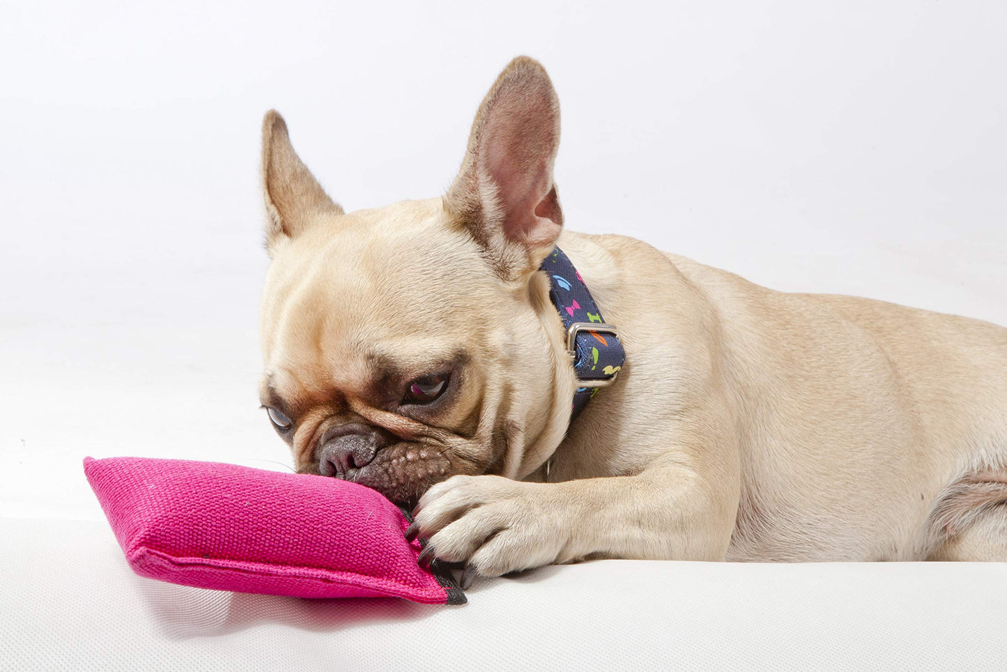 Dingo Dog Tug Toy with Handle, Dog Bite Pillow for Tug of War, Dog Bumper Floating on The Water, Colorfull Cotton, Size S, Z30001