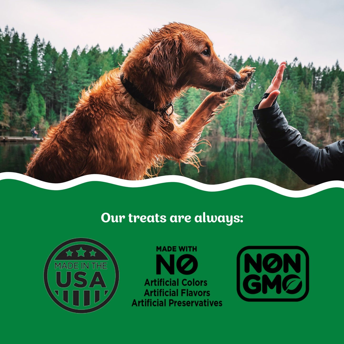 Three Dog Bakery Soft Baked Grain Free Meaty Woofers, Turkey and Cranberry Flavor, Premium Treats for Dogs, Brown, 25 oz