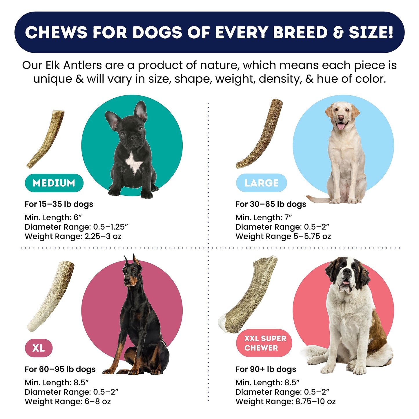 Onward Hound Elk Antlers for Dogs, 7"+ Large 3-Pack, Grade A Long Lasting Chew for Aggressive Chewers, Premium USA Naturally Shed Antler - Healthy, No Odor, Durable Dog Chew for 30-65lb Breeds