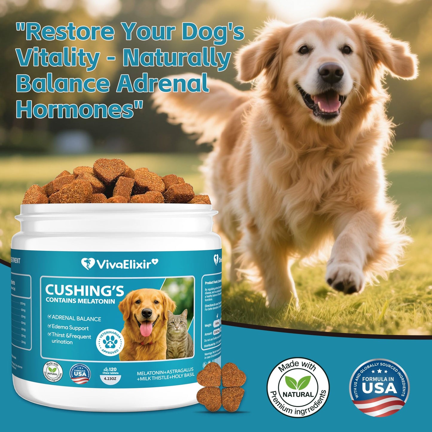 Adrenal Balance for Dogs with Lignans - Natural Cushing's Support with Melatonin, Ashwagandha, and Milk Thistle - Veterinary Formulated Supplement - 120 Soft Chews