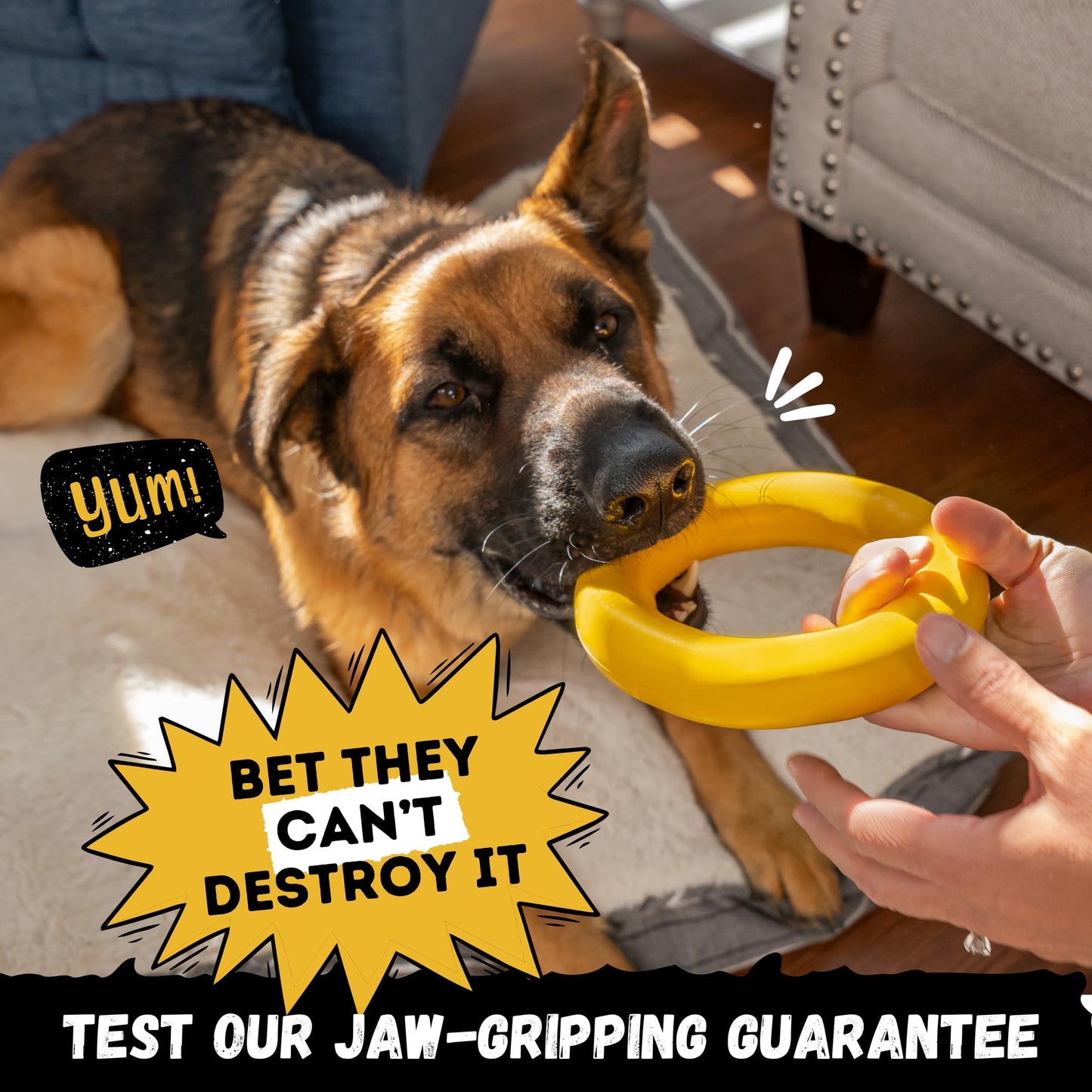 WoofBite Indestructible Dog Chew Toy - Lifetime Replacement - Durable Toy for Aggressive Chewers - Safe Non-Toxic Natural Rubber - Chew, Tug & Fetch - Tough, Heavy Duty - Med/Large Breed, 6.5”x1.25”