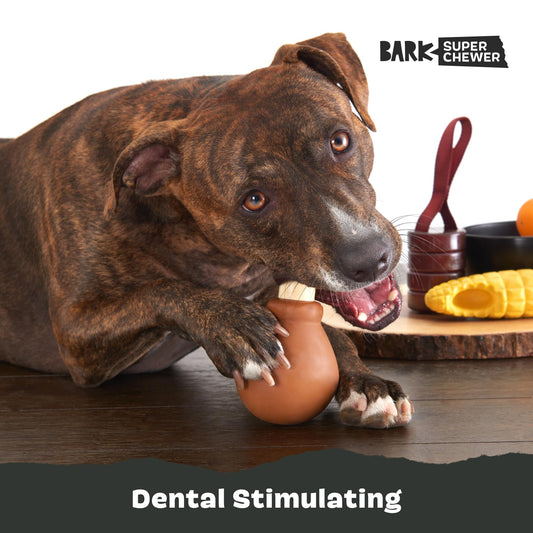 Barkbox Super Chewer Tough Dog Chew Toys for Aggressive Chewers, Dental Stimulating (Turkey - Large)