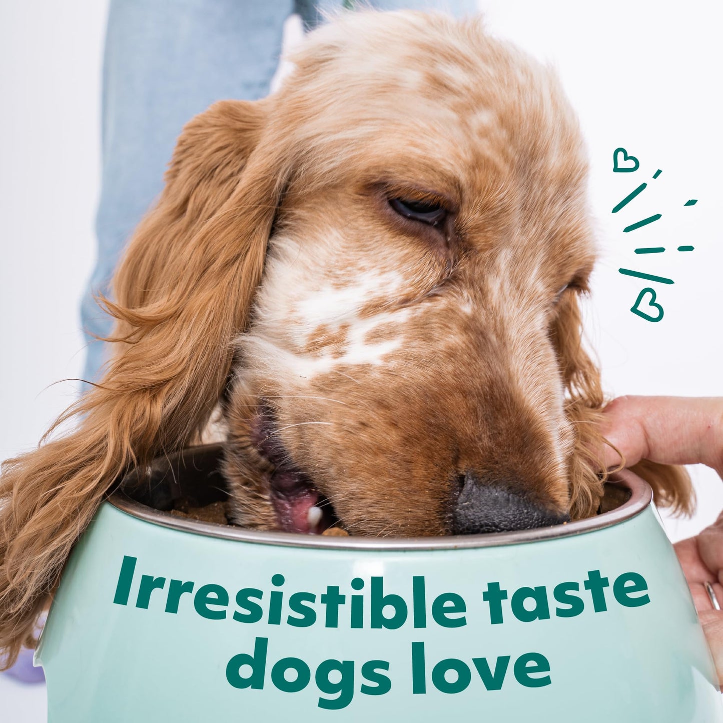 OPtimeal Natural Dog Food for Puppies - Proudly Ukrainian - Delicious Dry Puppy Food Recipe, Puppy Dog Food for Healthy Growth and Development26.5 lbsTurkey & Oatmeal