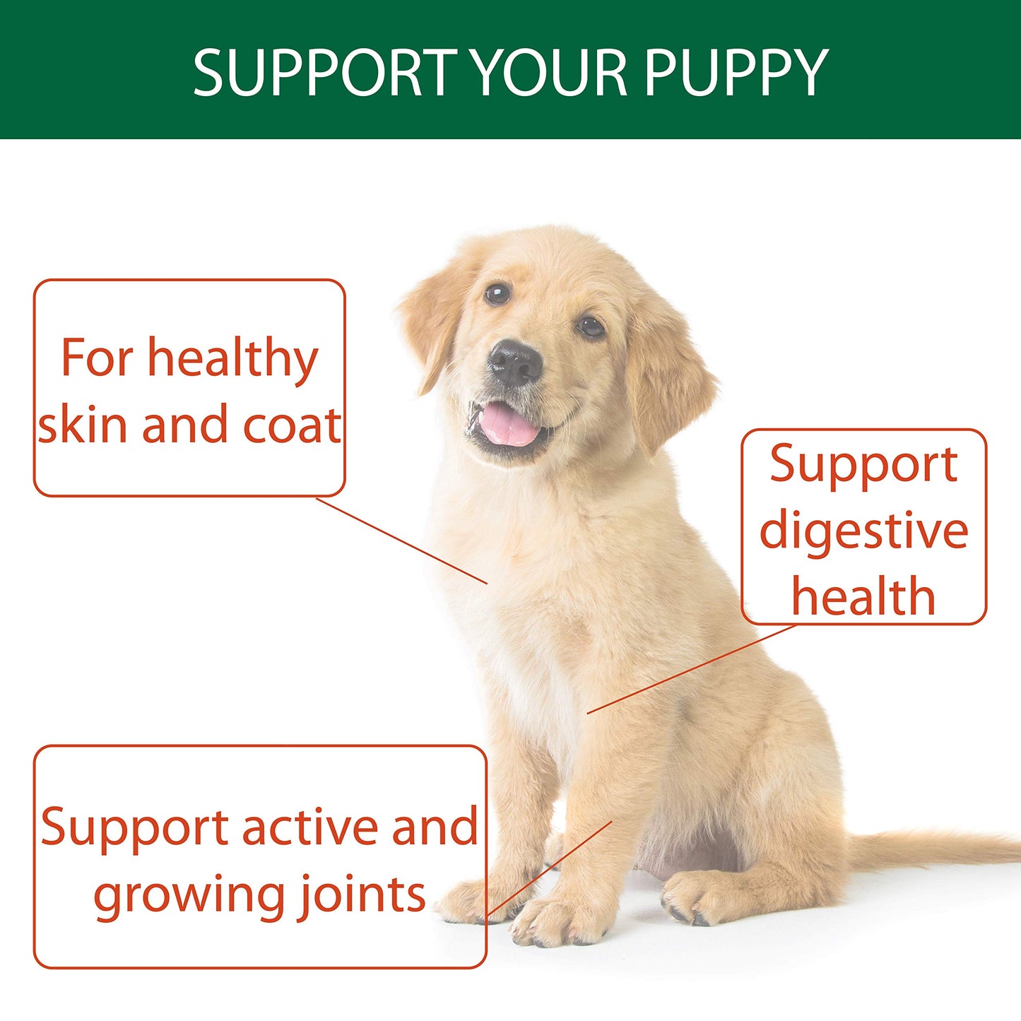 Natural Turmeric Powder for Dogs with Powdered Coconut Oil - Turmericle Anti-Inflamatory Dog Supplement for Healthy Hip & Joint Function - Normal Skin Health (1 Pack)