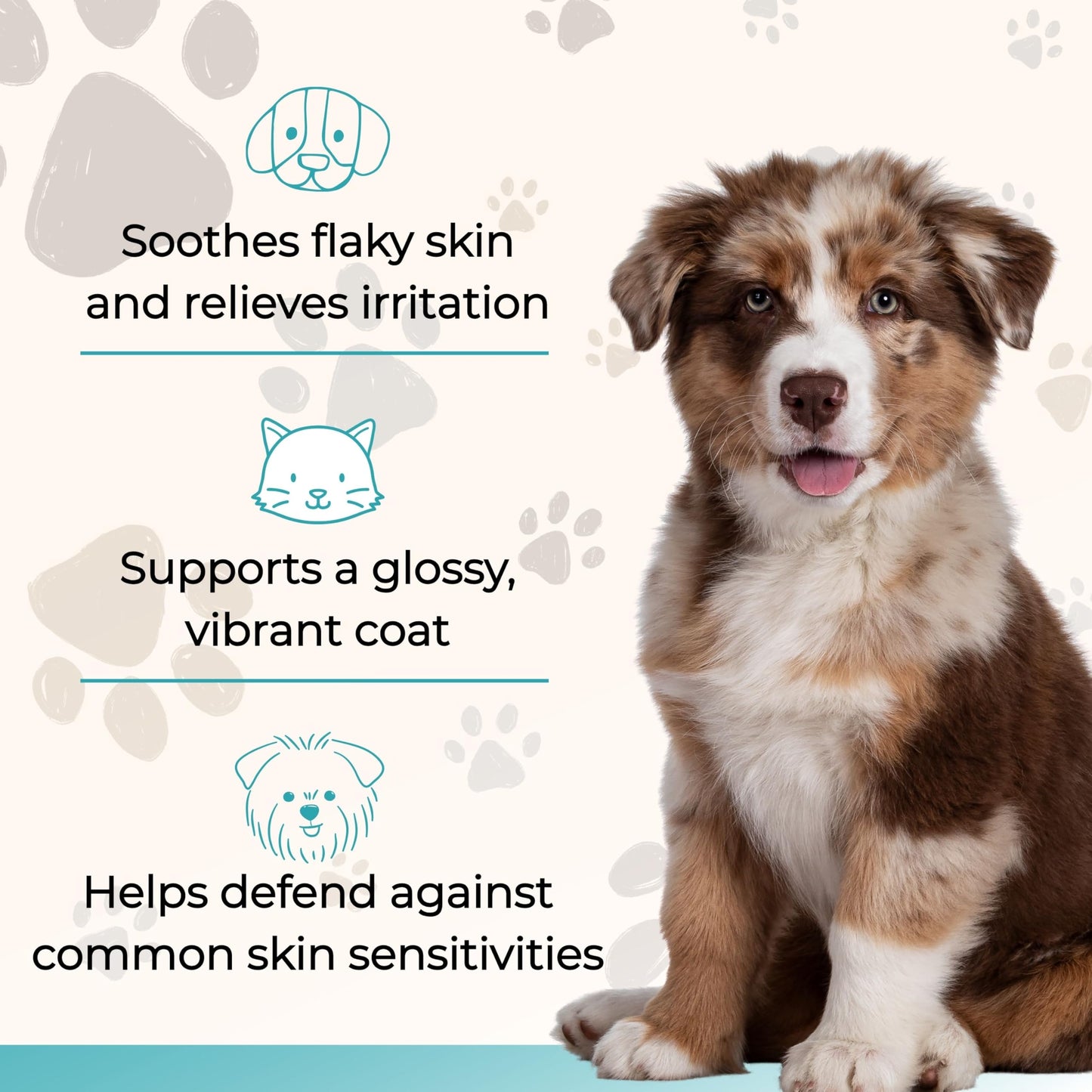 Pawlife Wild Alaskan Salmon Oil for Dogs and Cats - Omega-3s, including EPA and DHA, to Help Support Full-Body Health and Wellbeing for Sensitive Skin, Coat Health and Immune System Support - 10 Fl Oz