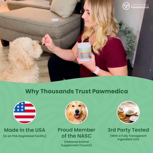 PawMedica Dog Probiotics and Digestive Enzymes, Probiotics for Dogs Made in USA, Pet Probiotic Chews for Dogs, Prebiotics & Probiotic Dog Digestive Support, Probiotic Treats - 120 Dog Probiotic Chews