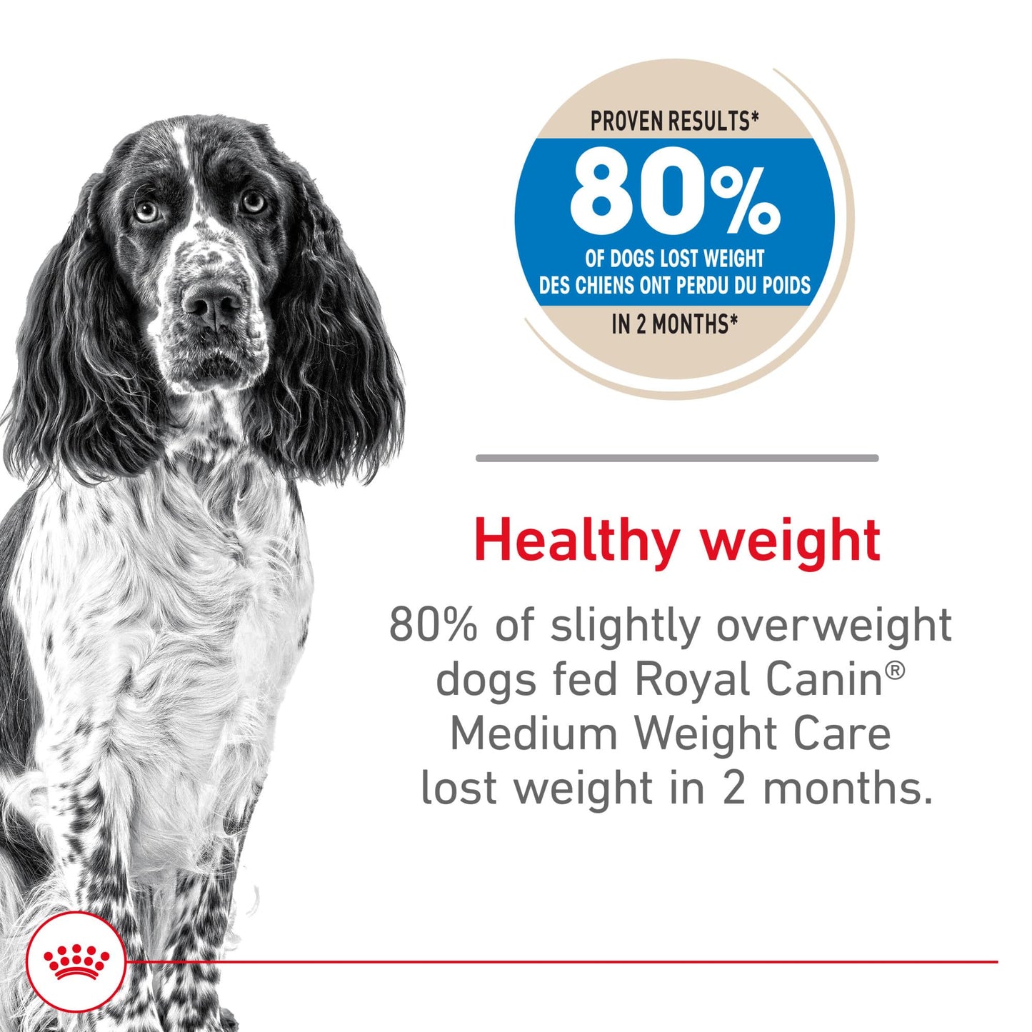 Royal Canin Medium Weight Care Adult Dry Dog Food for Medium Breeds, 30 lb bag